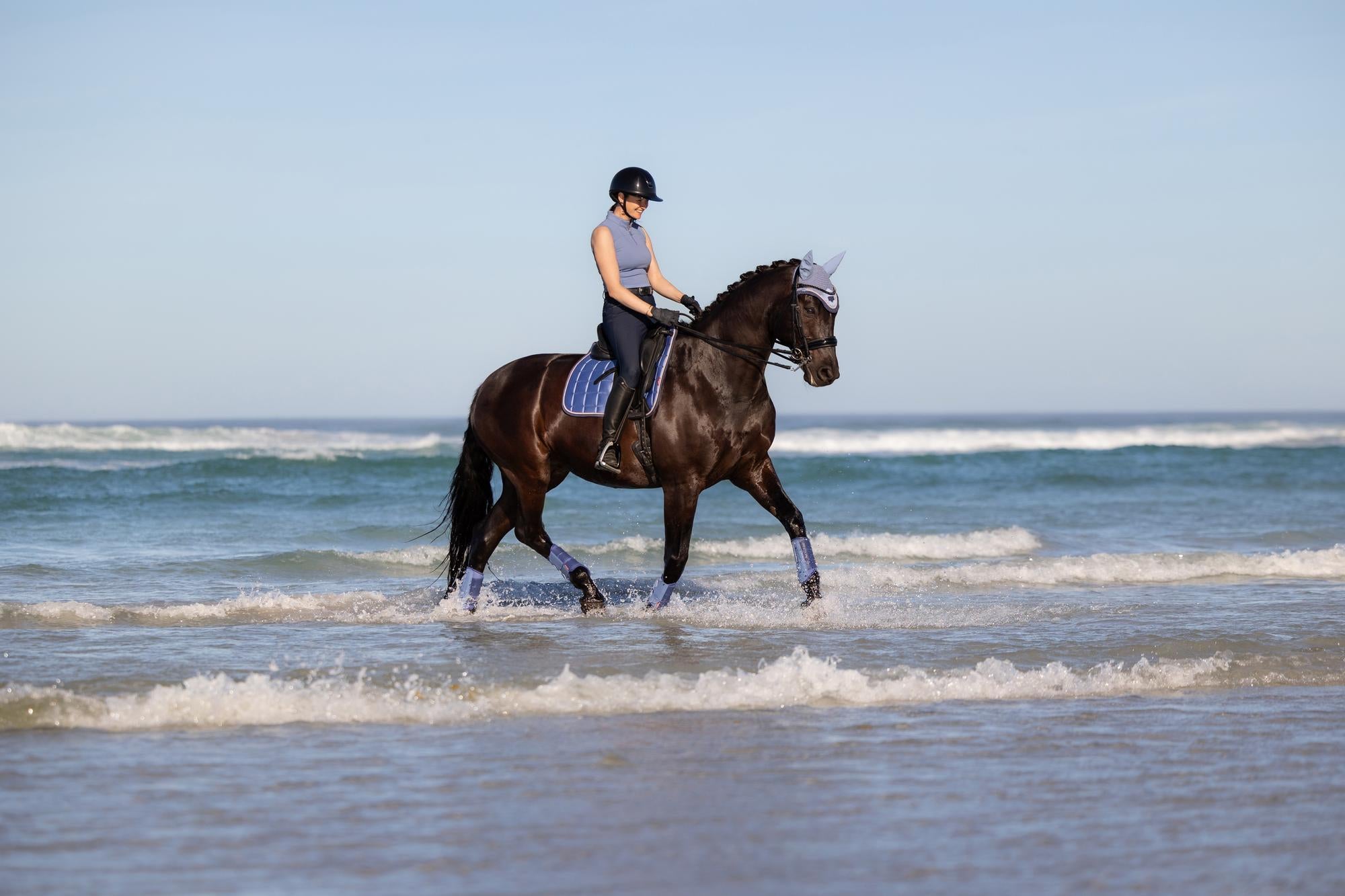 Evolution Equestrian Co.