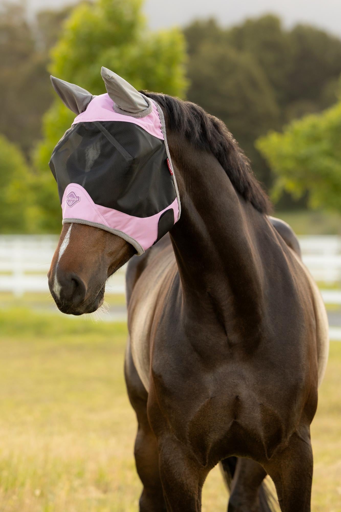 Evolution Equestrian Co.