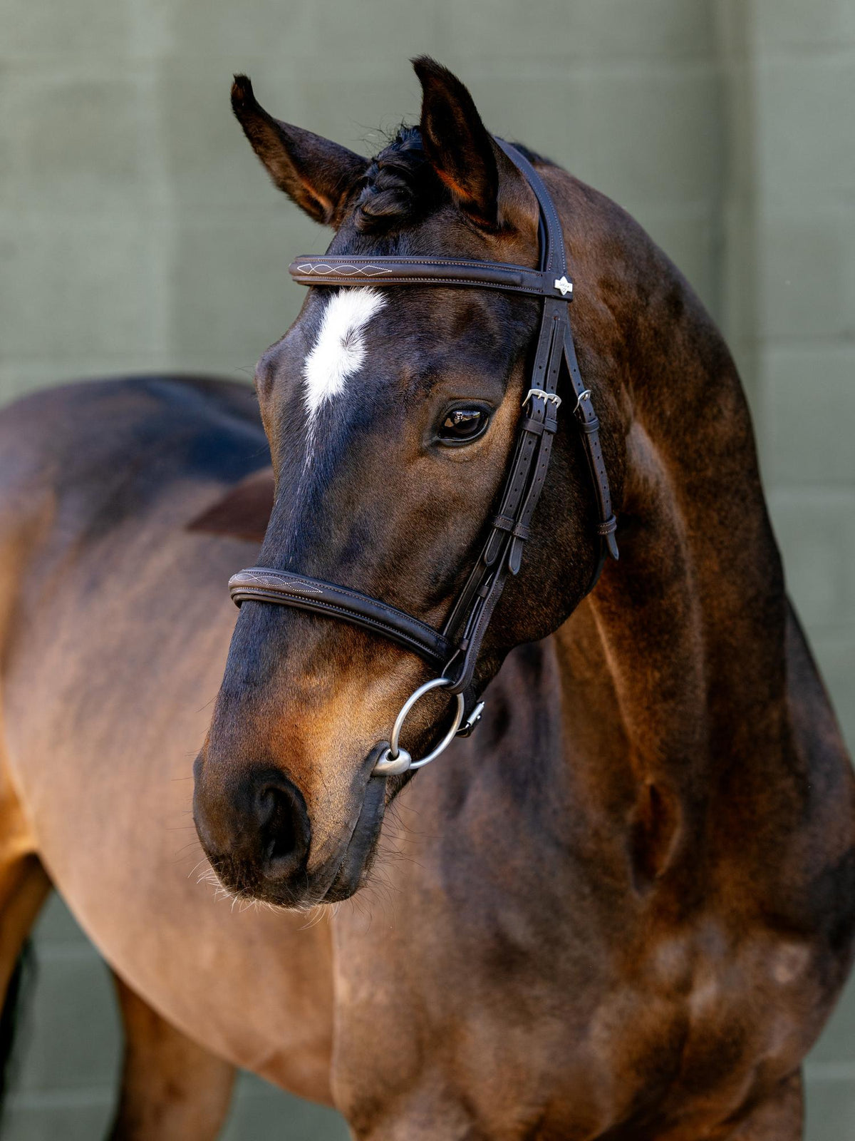 LeMieux Arika Classique Bridle Brown