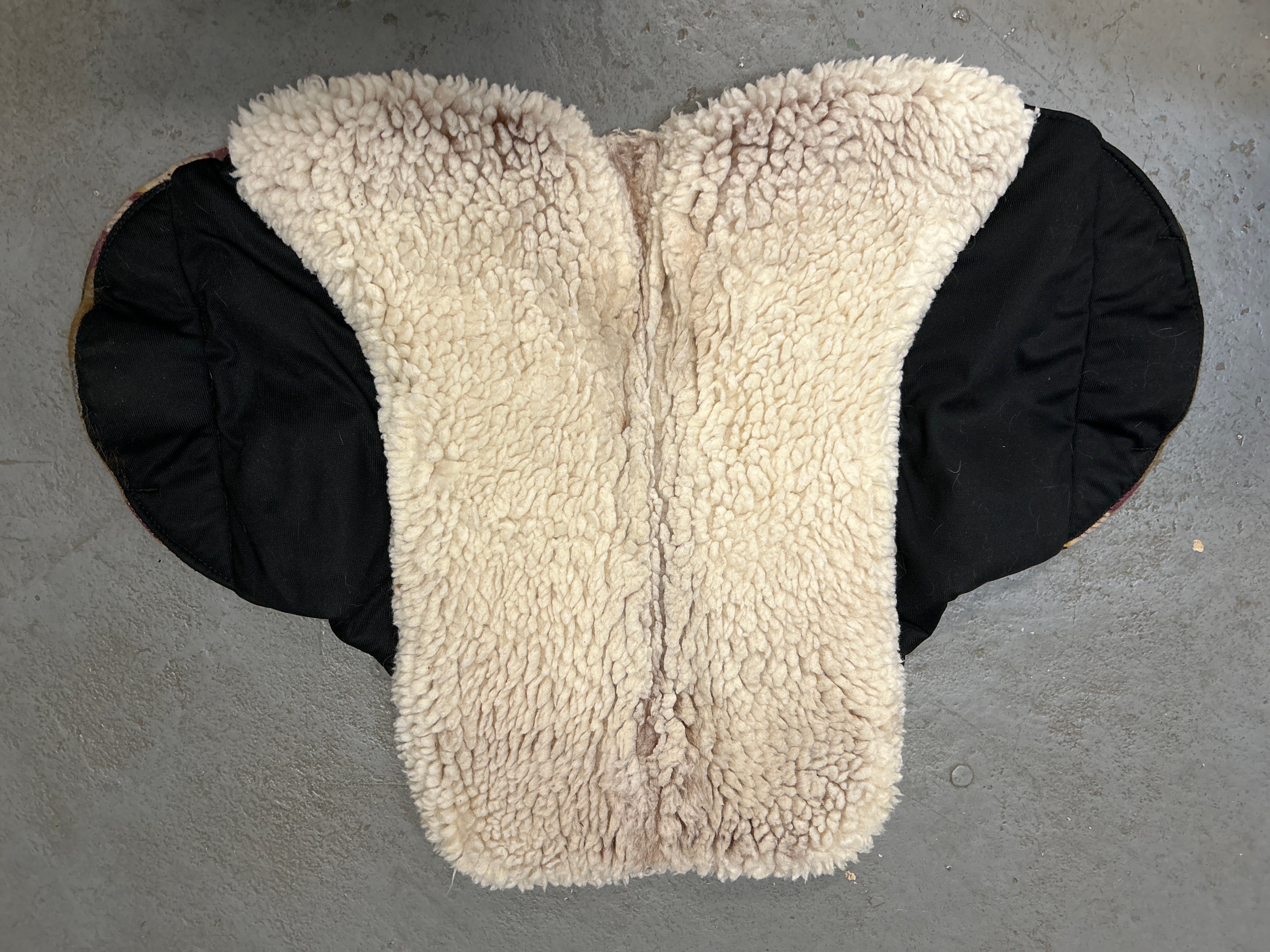 Jen X Equine Endurance Trail Saddle Pad-Endurance Saddle Pad-Consignment-Evolution Equestrian Co.