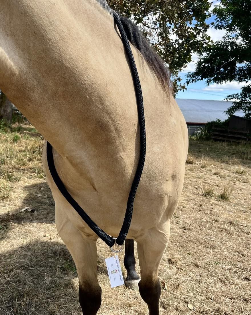 KCT Neck Rope-Halter-Consignment-Evolution Equestrian Co.