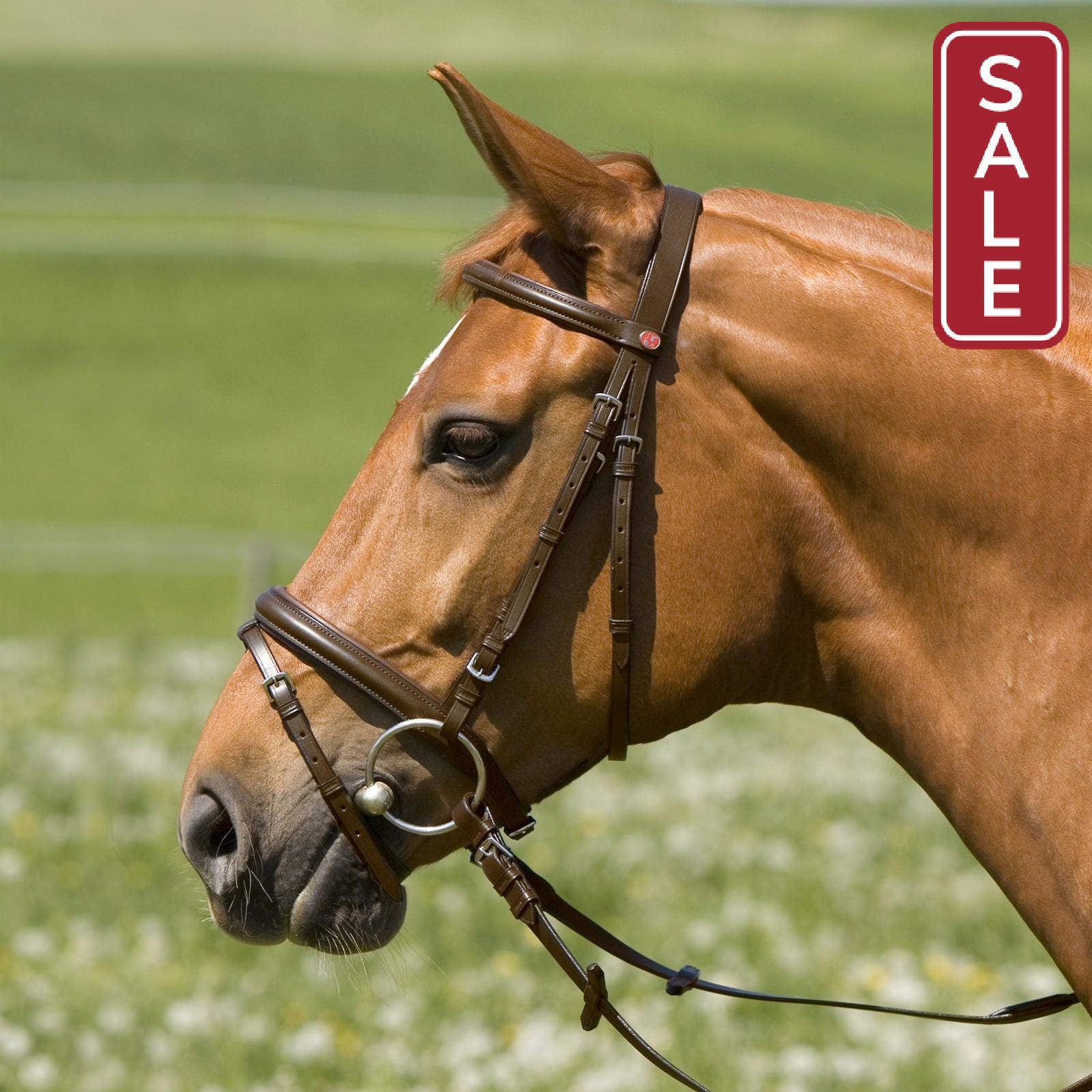 Keiffer Belinda Snaffle Bridle Coldblood-Bridle-Eaglewood Equestrian-Black-Evolution Equestrian Co.