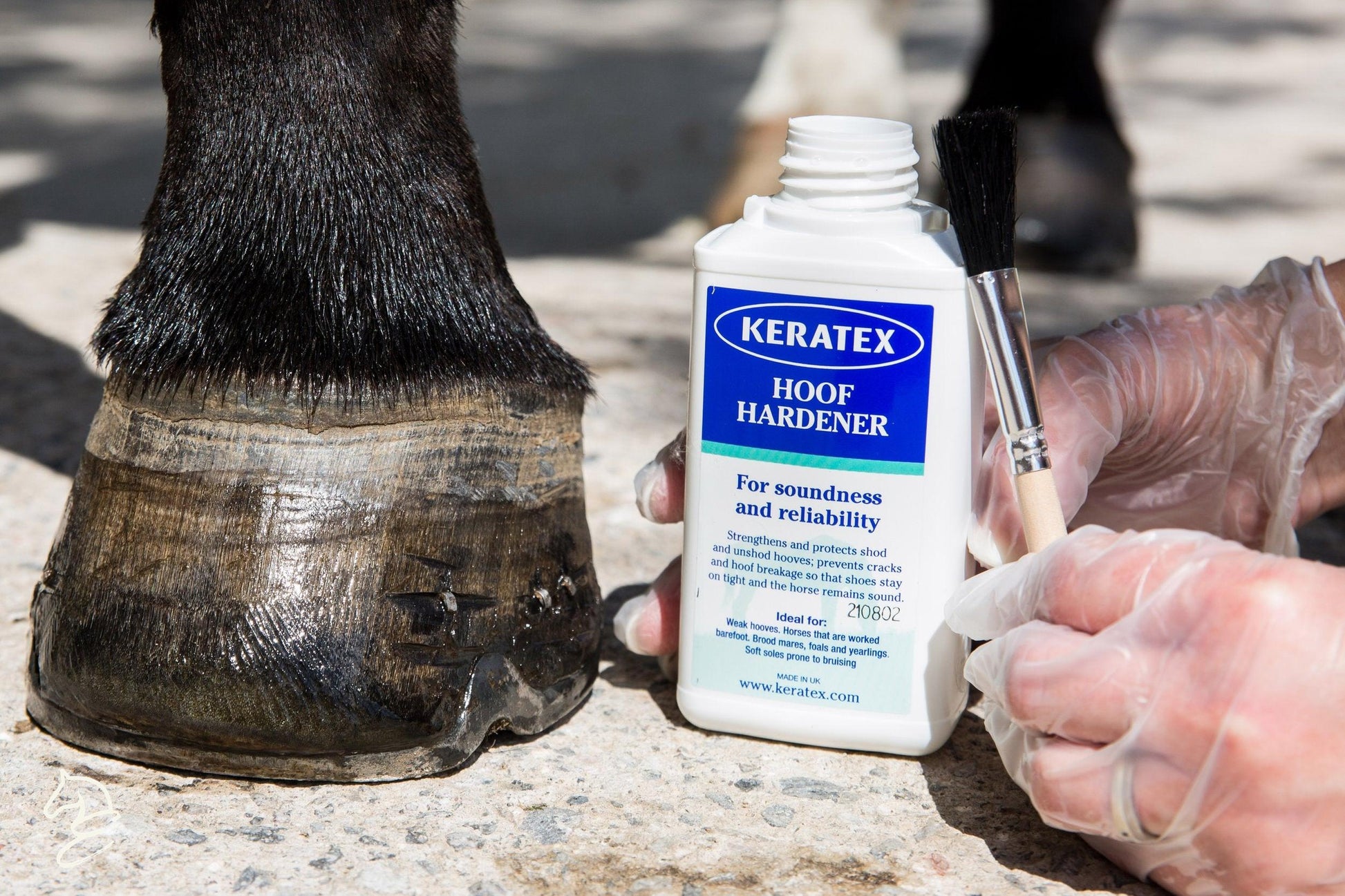 Keratex Hoof Hardener-Horse Care-Canadian Centurion Supply-Evolution Equestrian Co.