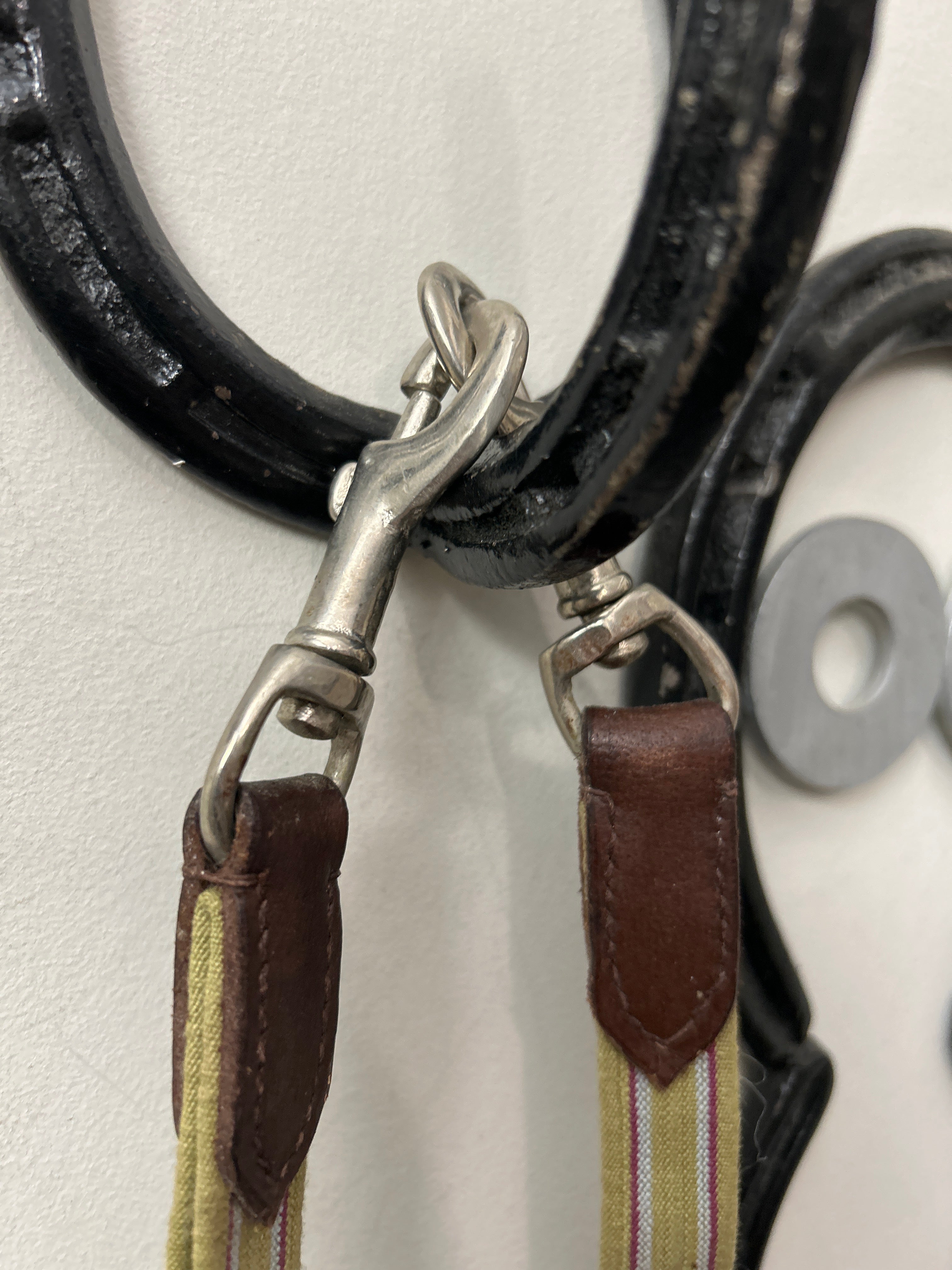 Lancer Elastic Side Reins-English Tack-Consignment-Evolution Equestrian Co.
