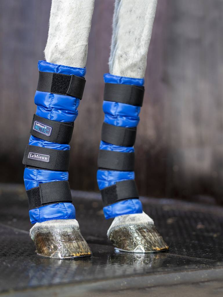 LeMieux Arctic Ice Boots-Horse Health-LeMieux-Blue-Evolution Equestrian Co.