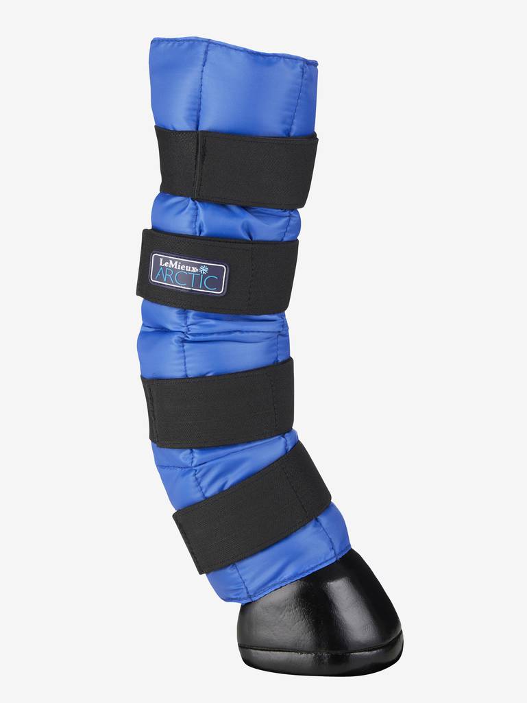 LeMieux Arctic Ice Boots-Horse Health-LeMieux-Blue-Evolution Equestrian Co.
