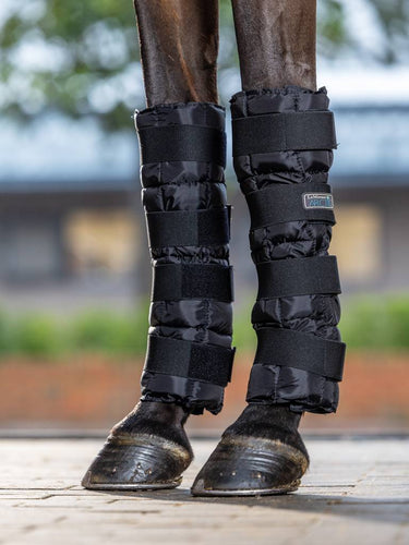 LeMieux Arctic Ice Boots-Horse Health-LeMieux-Black-Evolution Equestrian Co.