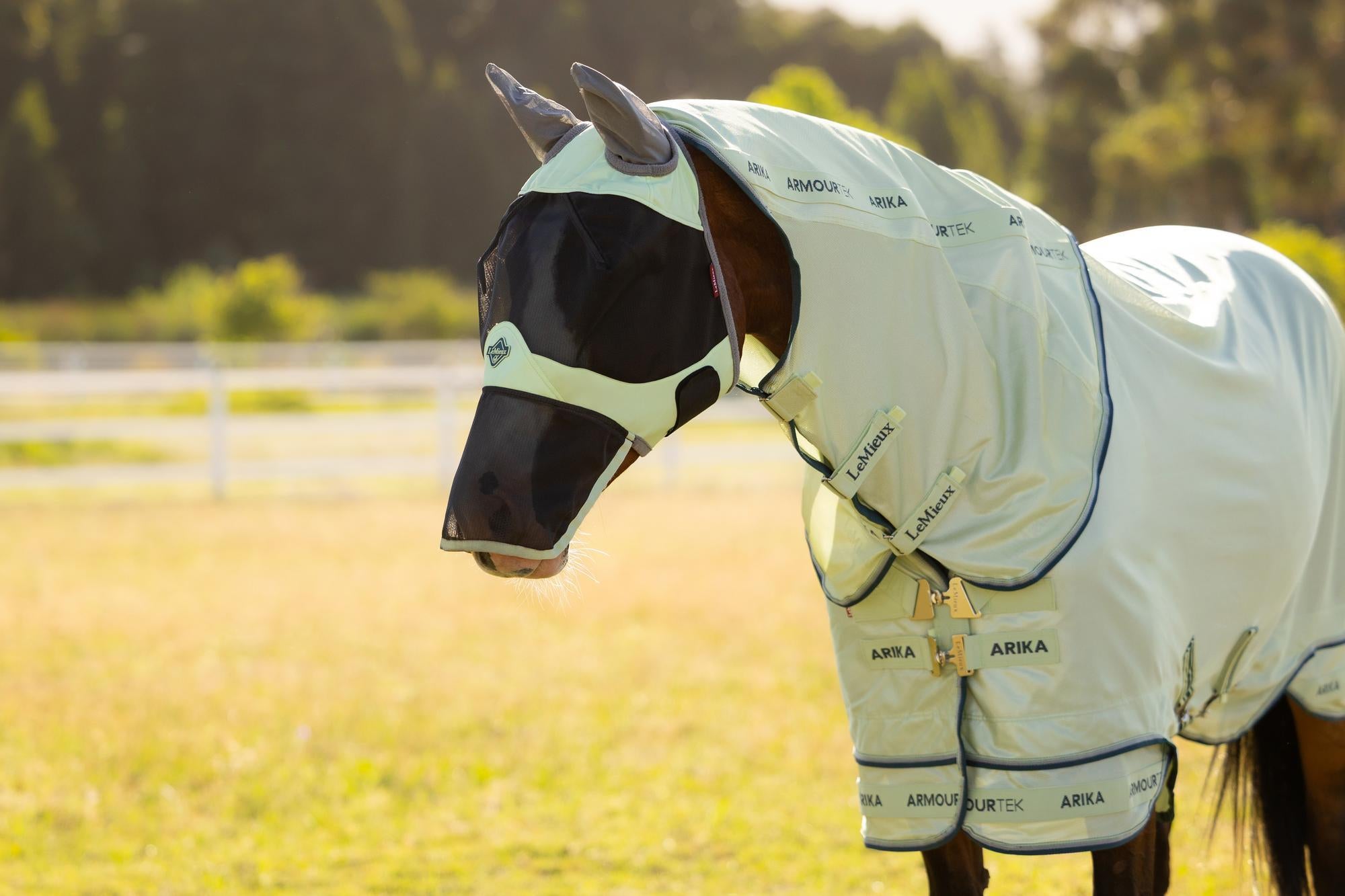 LeMieux Arika Armour-Tek Fly Rug Macaron-Horse Blankets & Sheets-LeMieux-6'0"/72"-Evolution Equestrian Co.
