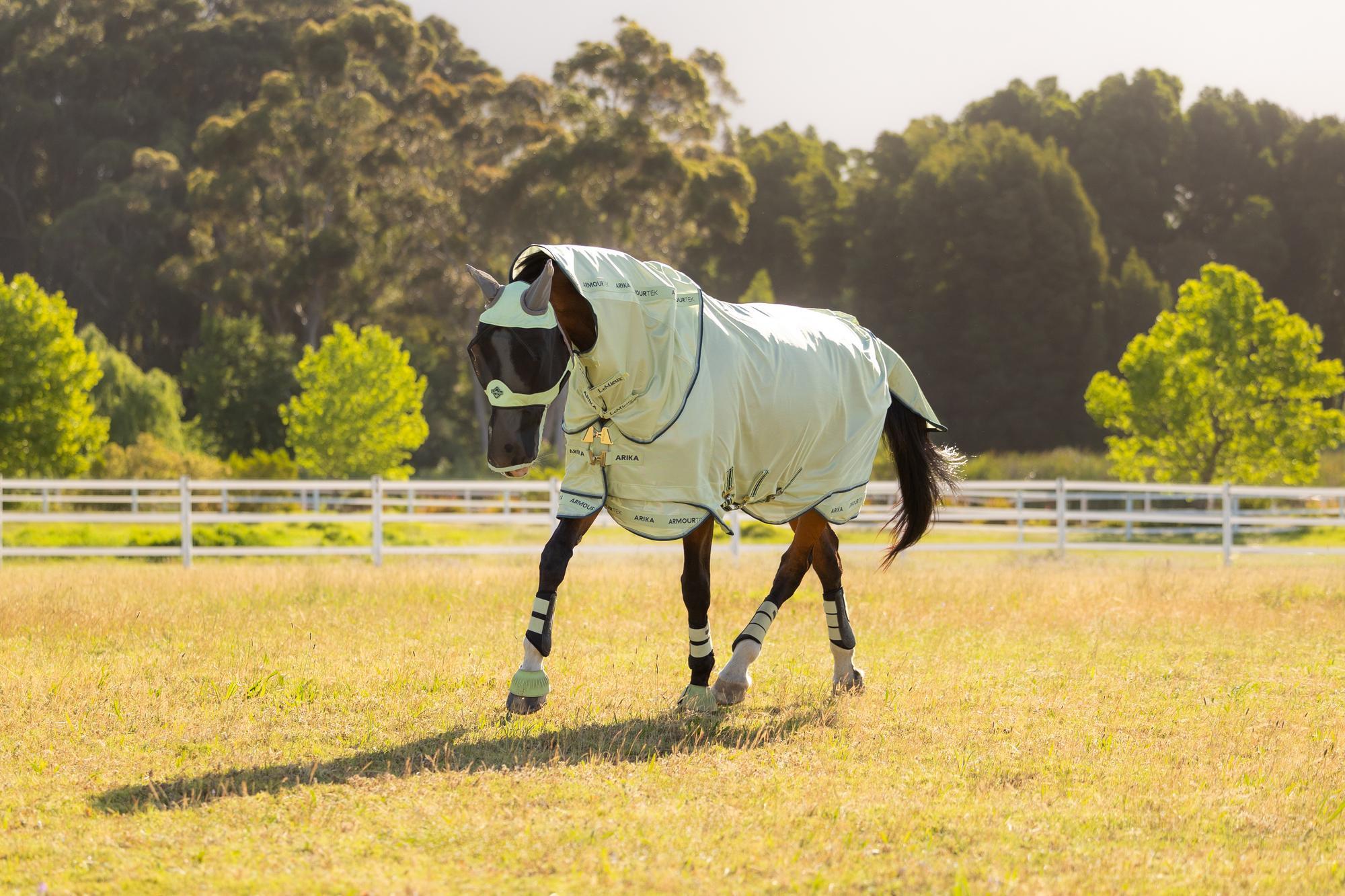 LeMieux Arika Armour-Tek Fly Rug Macaron-Horse Blankets & Sheets-LeMieux-6'0"/72"-Evolution Equestrian Co.