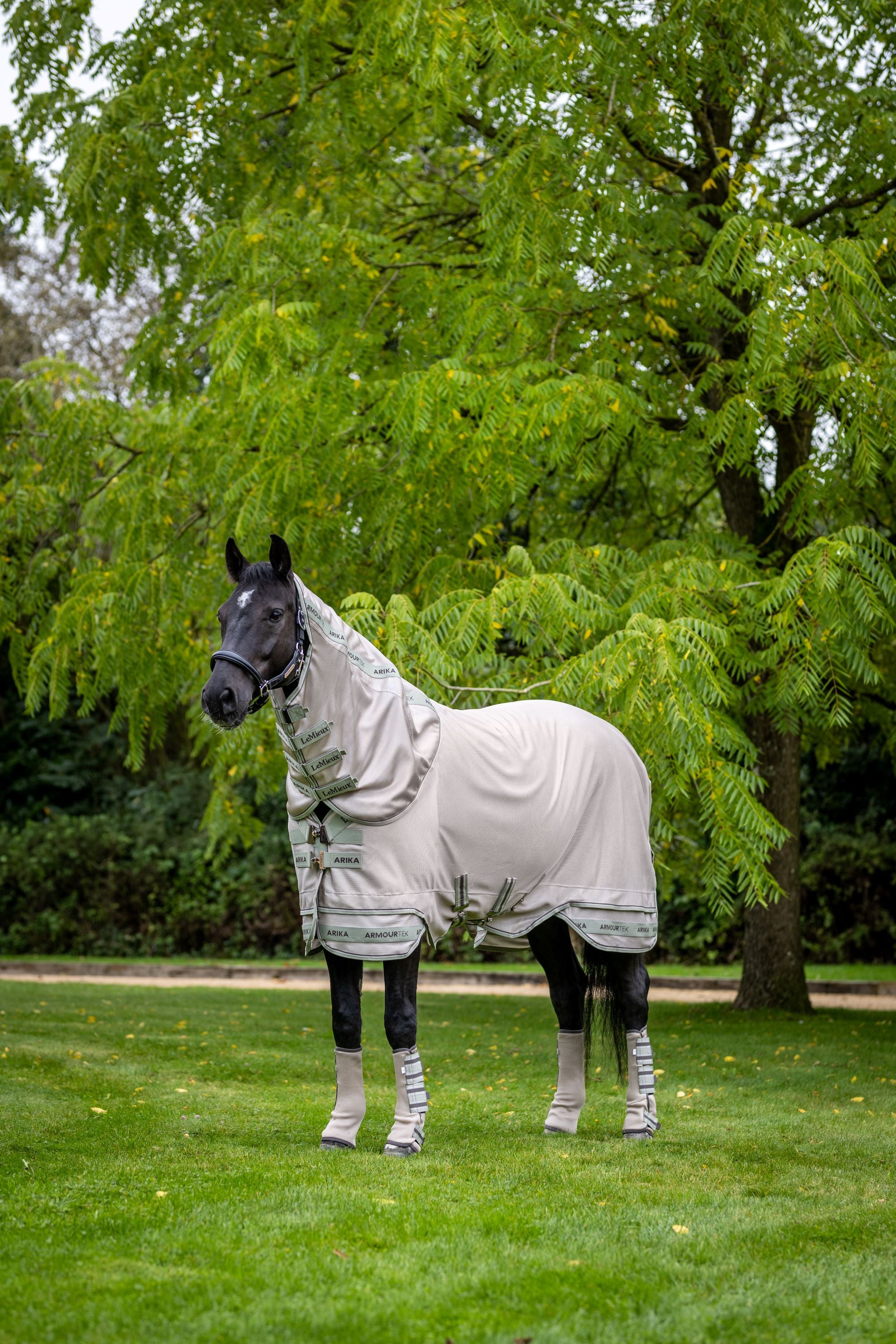 LeMieux Arika Armour-Tek Fly Sheet-Fly Sheet-LeMieux-72" / 6'0"-Evolution Equestrian Co.