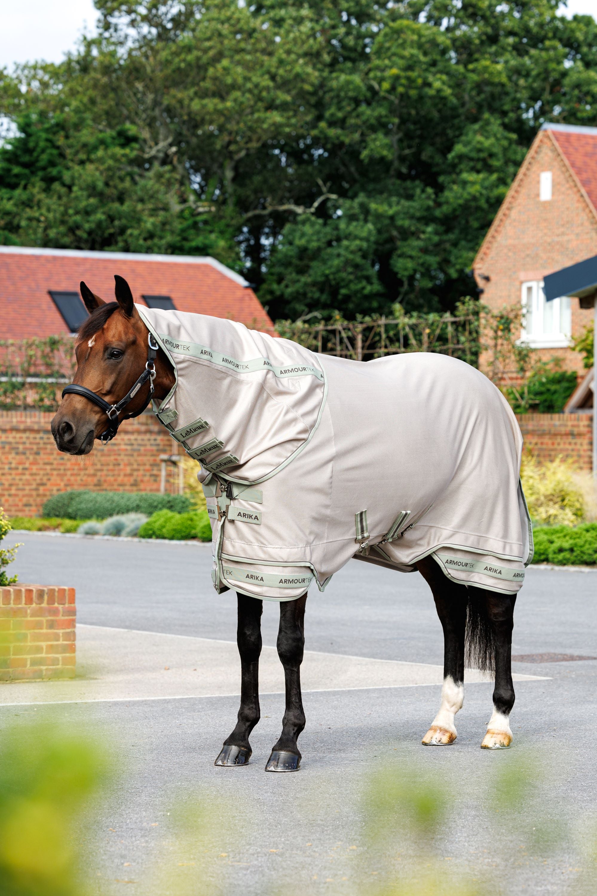 LeMieux Arika Armour-Tek Fly Sheet-Fly Sheet-LeMieux-75" / 6'3"-Evolution Equestrian Co.