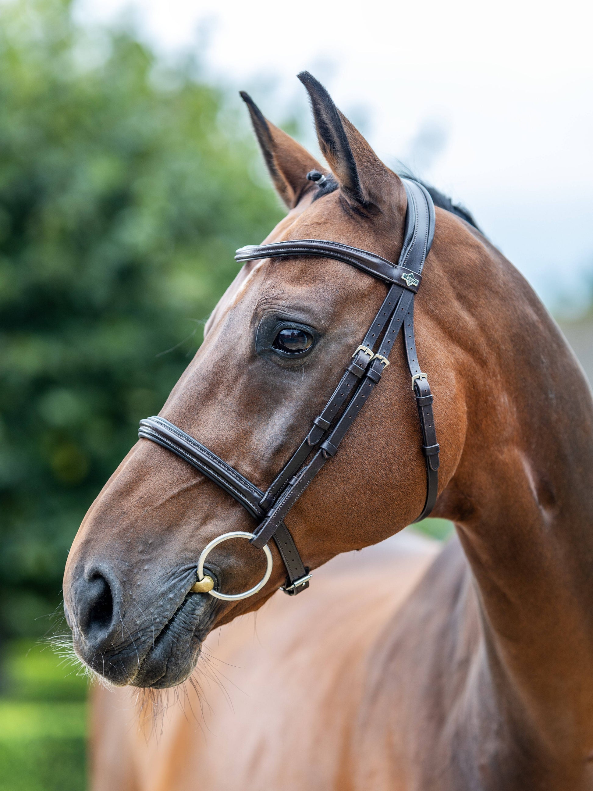 LeMieux Arika Cavesson Bridle-English Bridle-LeMieux-X-Full-Brown / Silver-Evolution Equestrian Co.