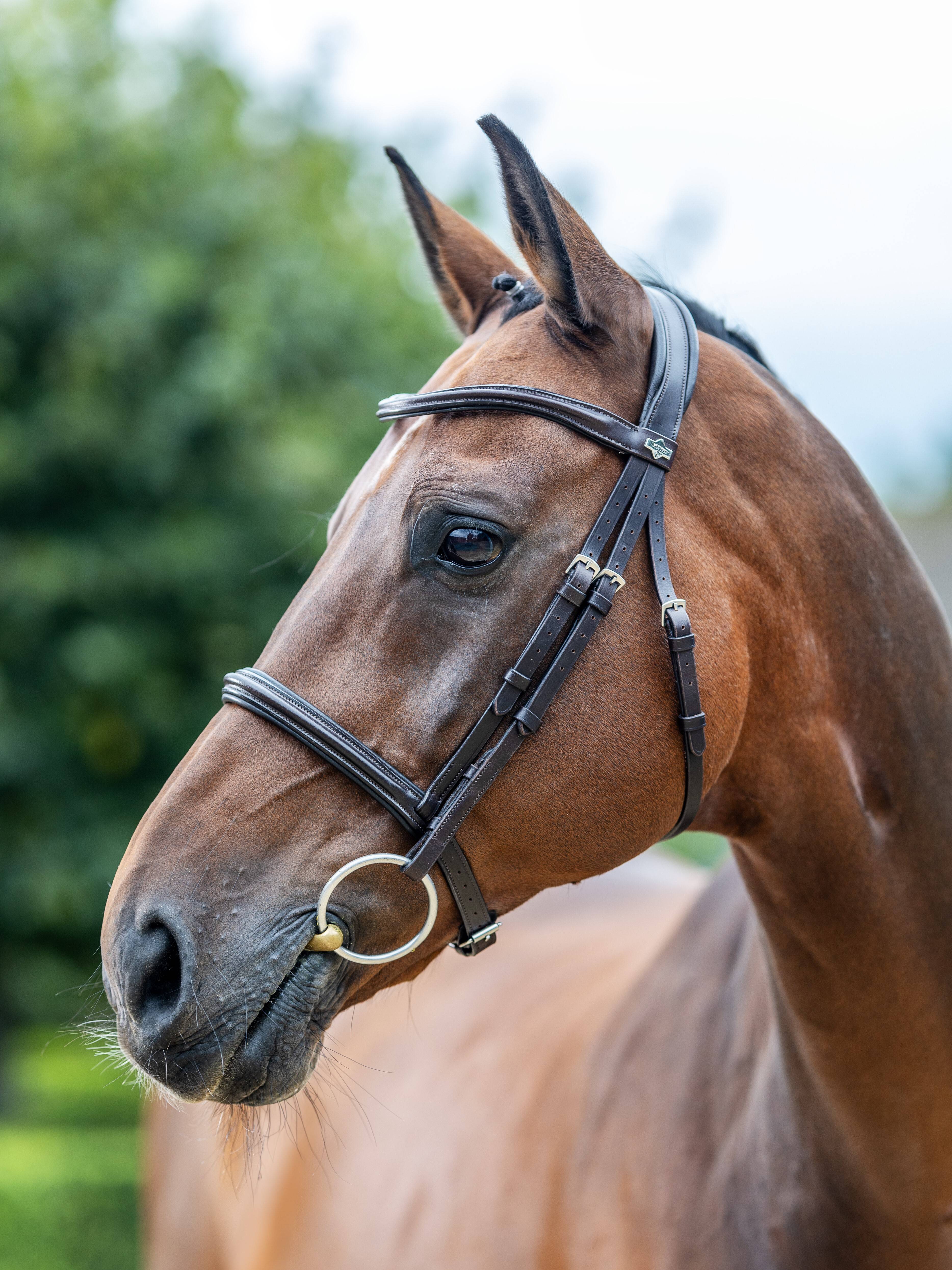 LeMieux Arika Cavesson Bridle-English Bridle-LeMieux-X-Full-Brown / Silver-Evolution Equestrian Co.