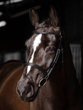 Load image into Gallery viewer, LeMieux Arika Cavesson Bridle-English Bridle-LeMieux-Pony-Black / Silver-Evolution Equestrian Co.
