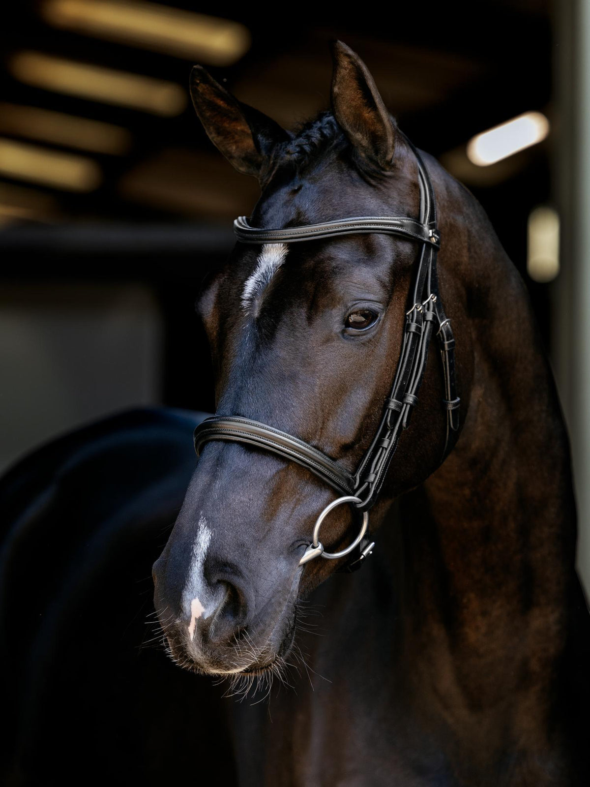 LeMieux Arika Cavesson Bridle Black