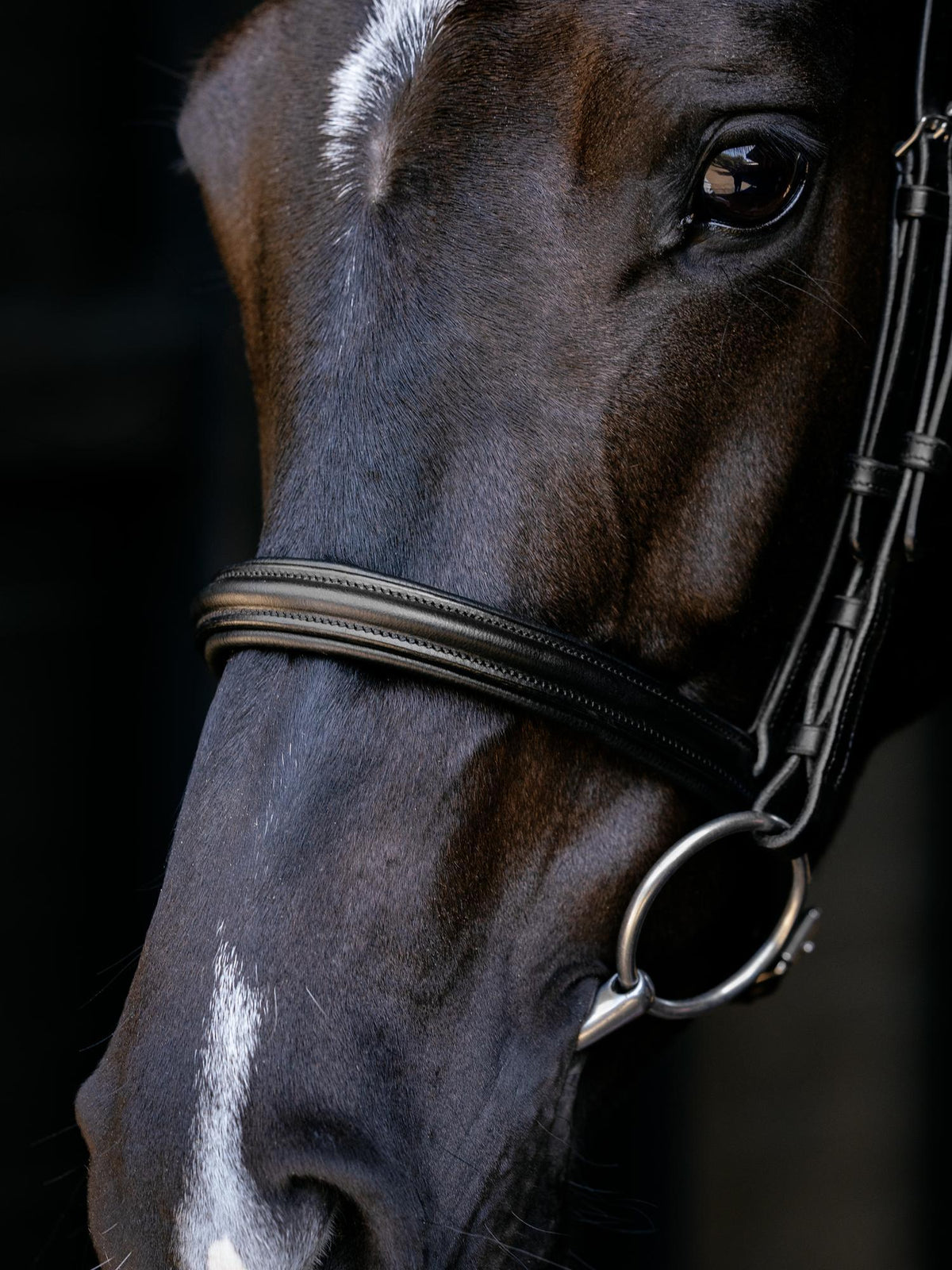 LeMieux Arika Cavesson Bridle Black
