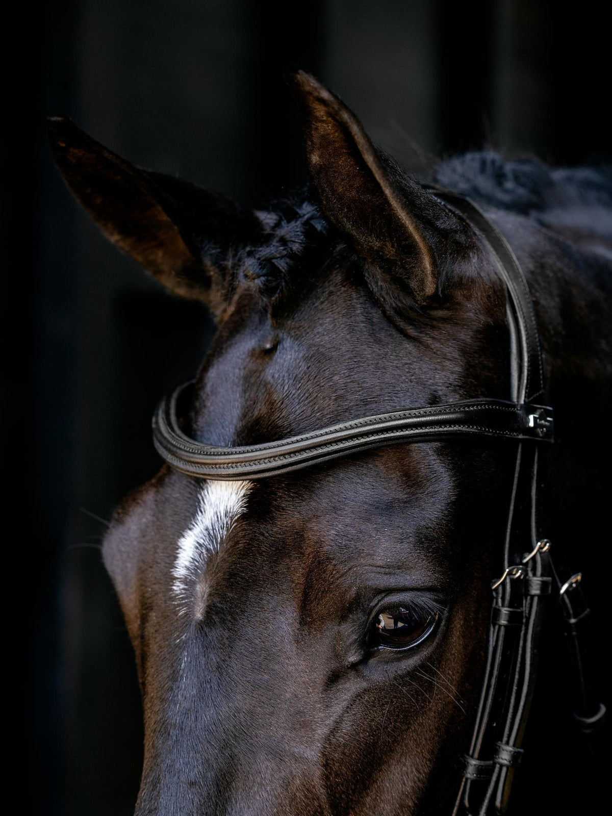 LeMieux Arika Cavesson Bridle Black