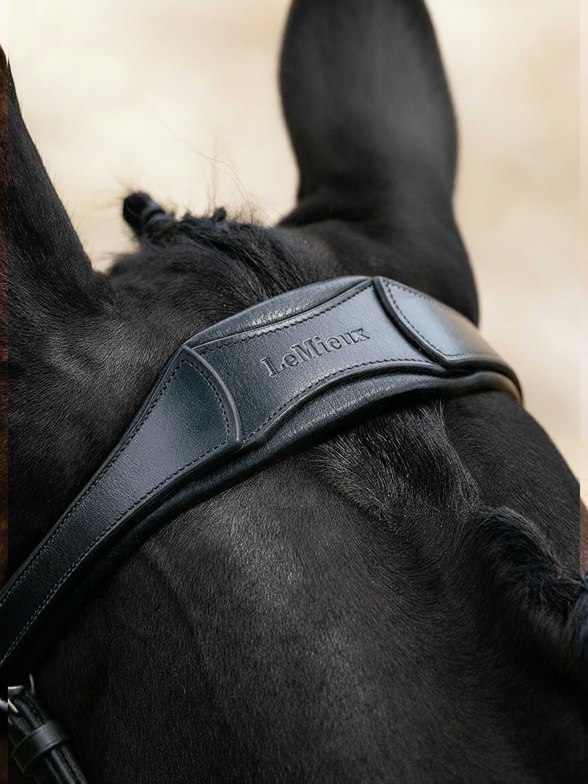 LeMieux Arika Cavesson Bridle Black