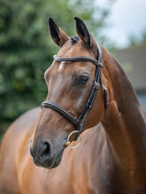 Load image into Gallery viewer, LeMieux Arika Cavesson Bridle-English Bridle-LeMieux-Pony-Brown / Silver-Evolution Equestrian Co.
