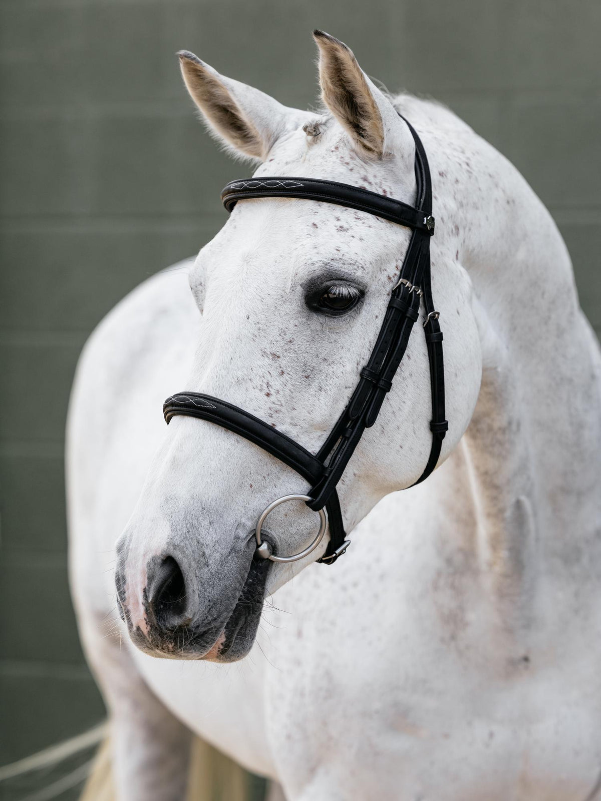 LeMieux Arika Classique Bridle Brown-Bridle-LeMieux-Pony-Evolution Equestrian Co.