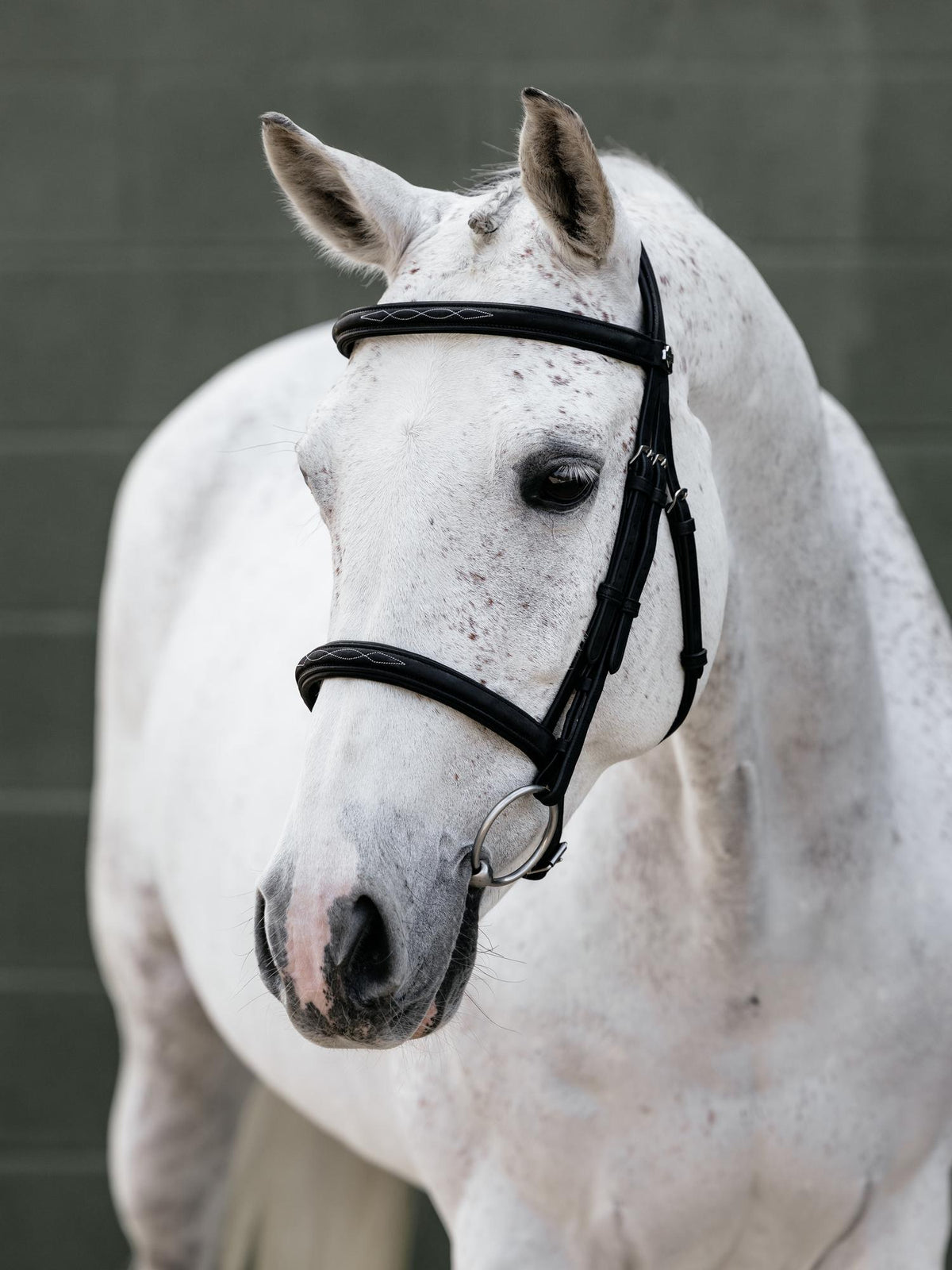 LeMieux Arika Classique Bridle Brown-Bridle-LeMieux-Pony-Evolution Equestrian Co.