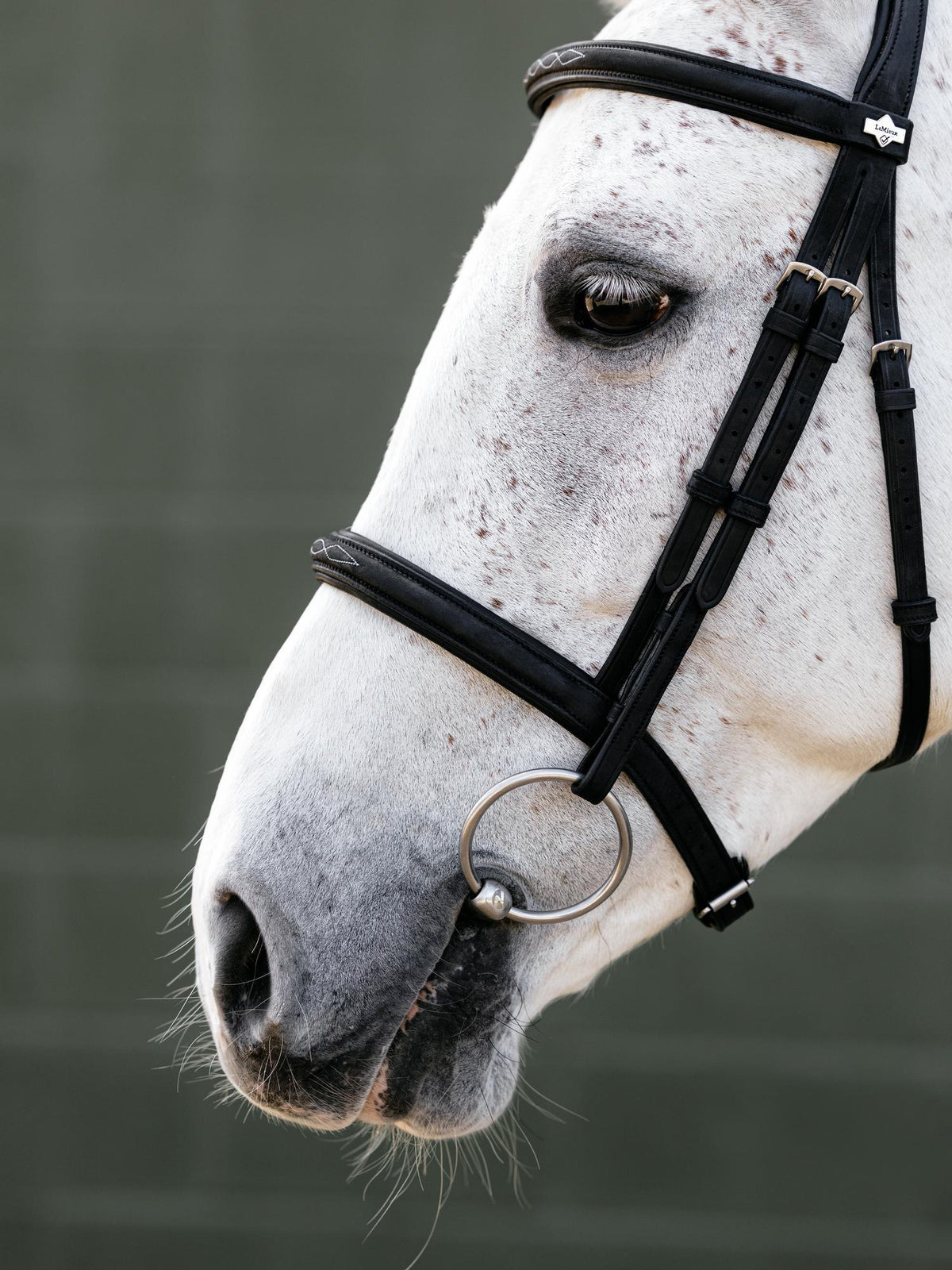LeMieux Arika Classique Bridle Brown-Bridle-LeMieux-Pony-Evolution Equestrian Co.