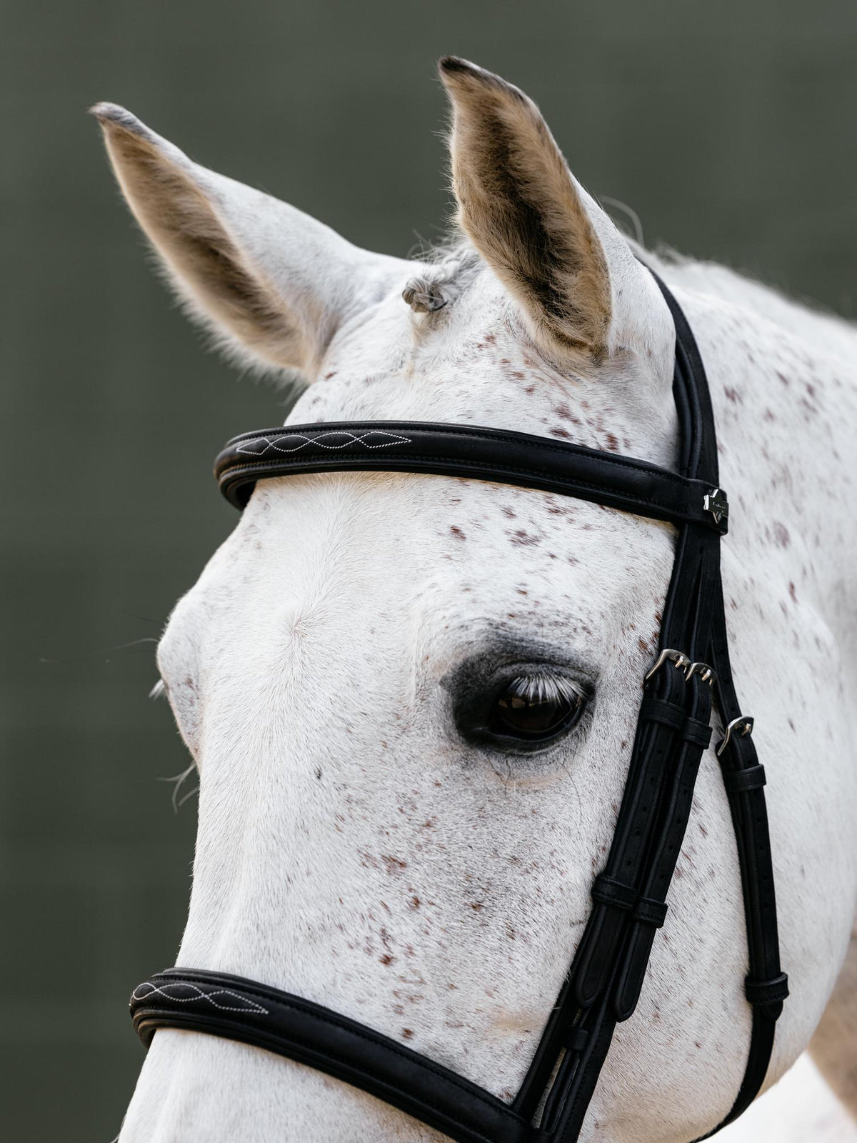LeMieux Arika Classique Bridle Brown-Bridle-LeMieux-Pony-Evolution Equestrian Co.