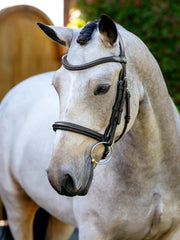 LeMieux Arika Classique Bridle Brown