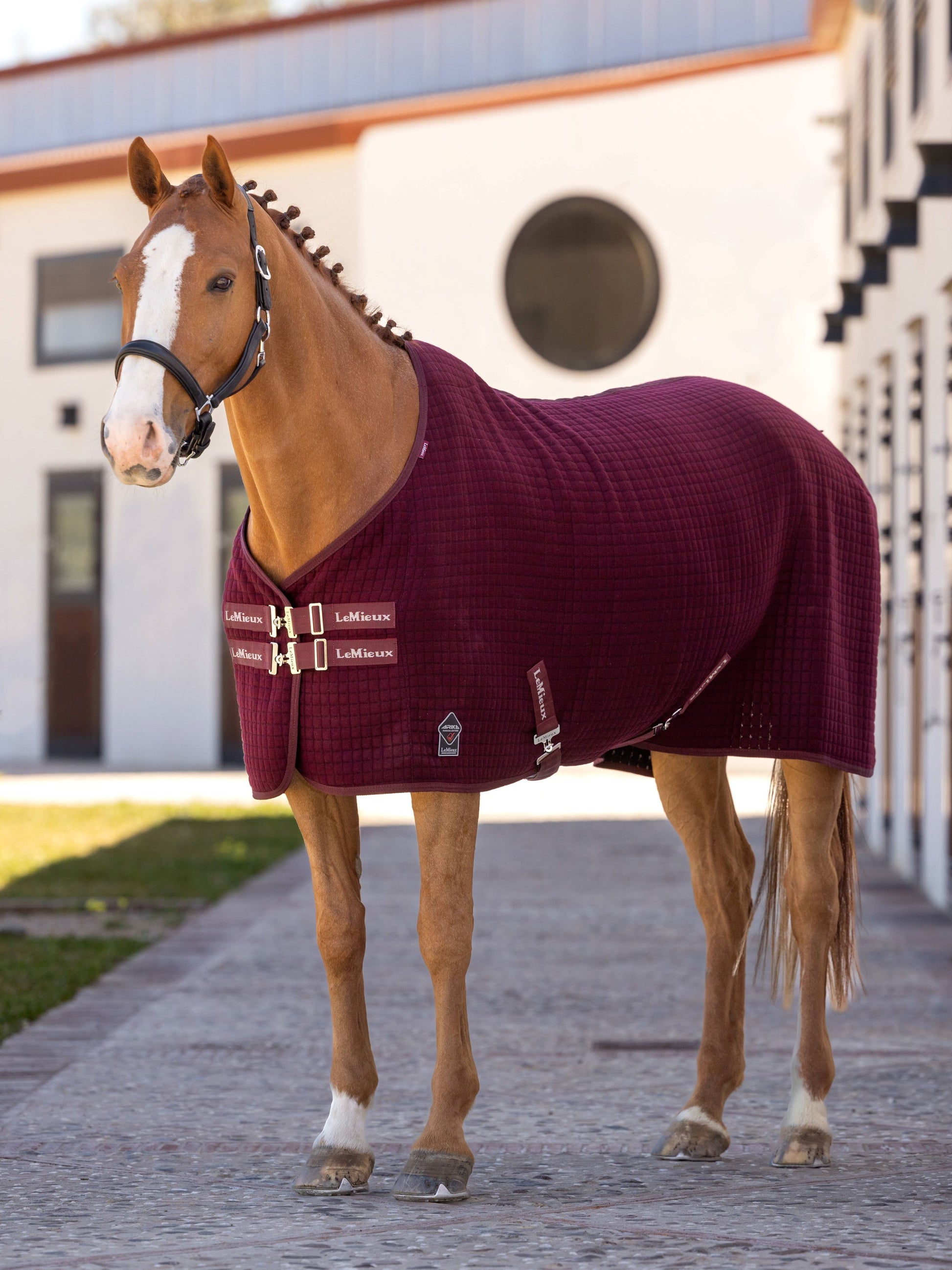 LeMieux Arika Clima-Tek Rug-Horse Blanket-LeMieux-Navy-66"-Evolution Equestrian Co.