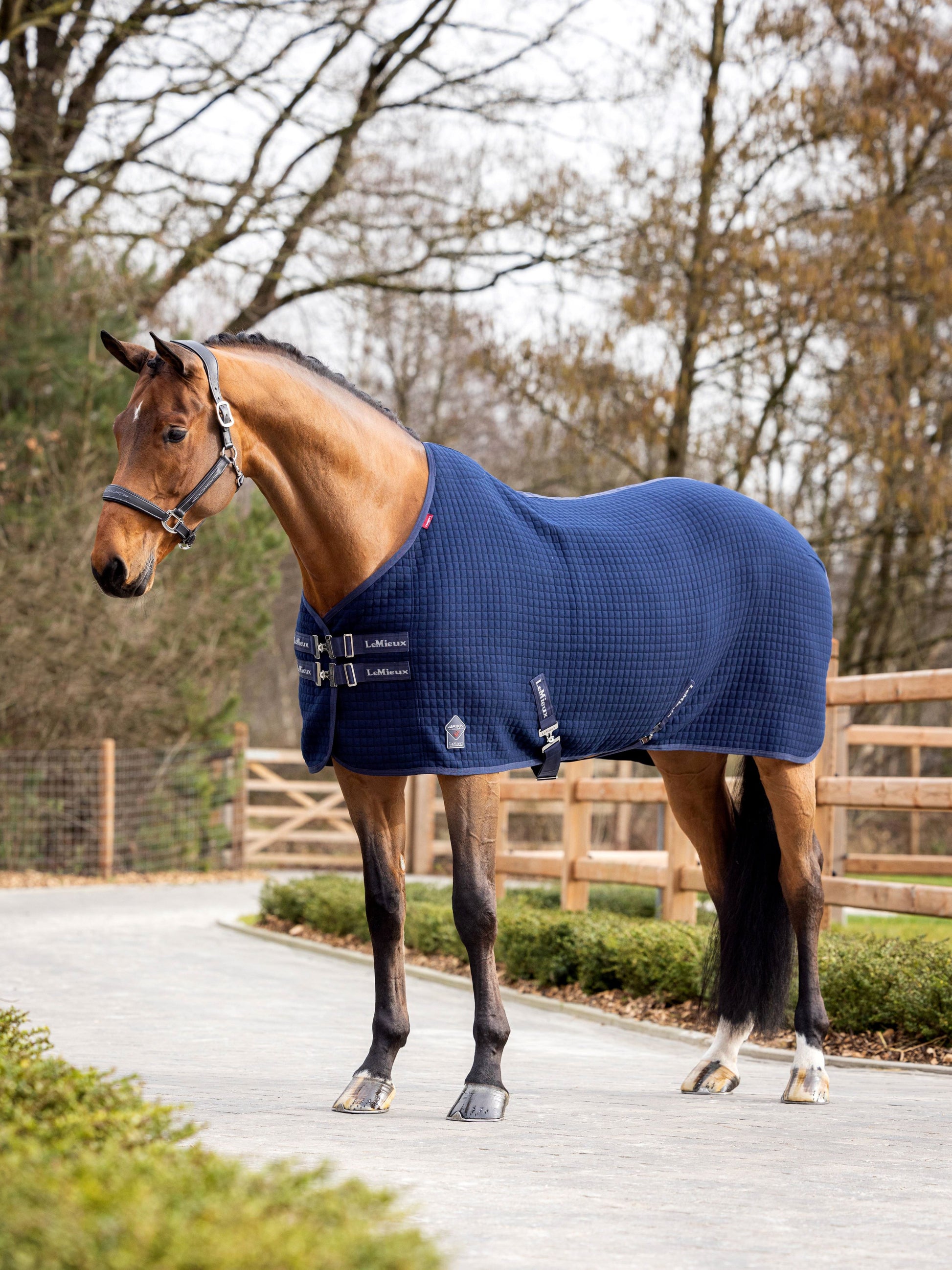 LeMieux Arika Clima-Tek Rug-Horse Blanket-LeMieux-Navy-66"-Evolution Equestrian Co.