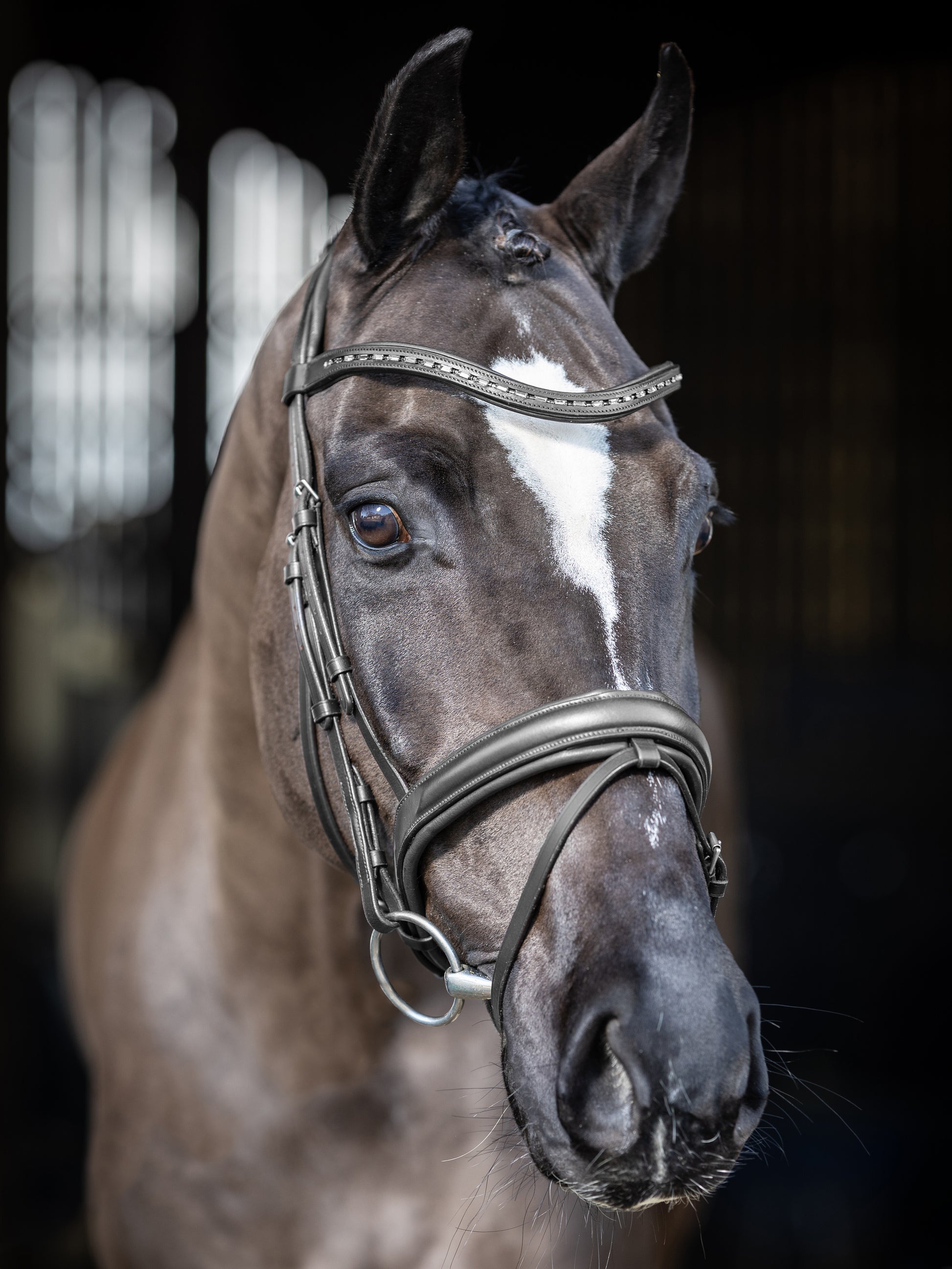LeMieux Arika Dressage Bridle-Bridle-LeMieux-Black-Pony-Evolution Equestrian Co.