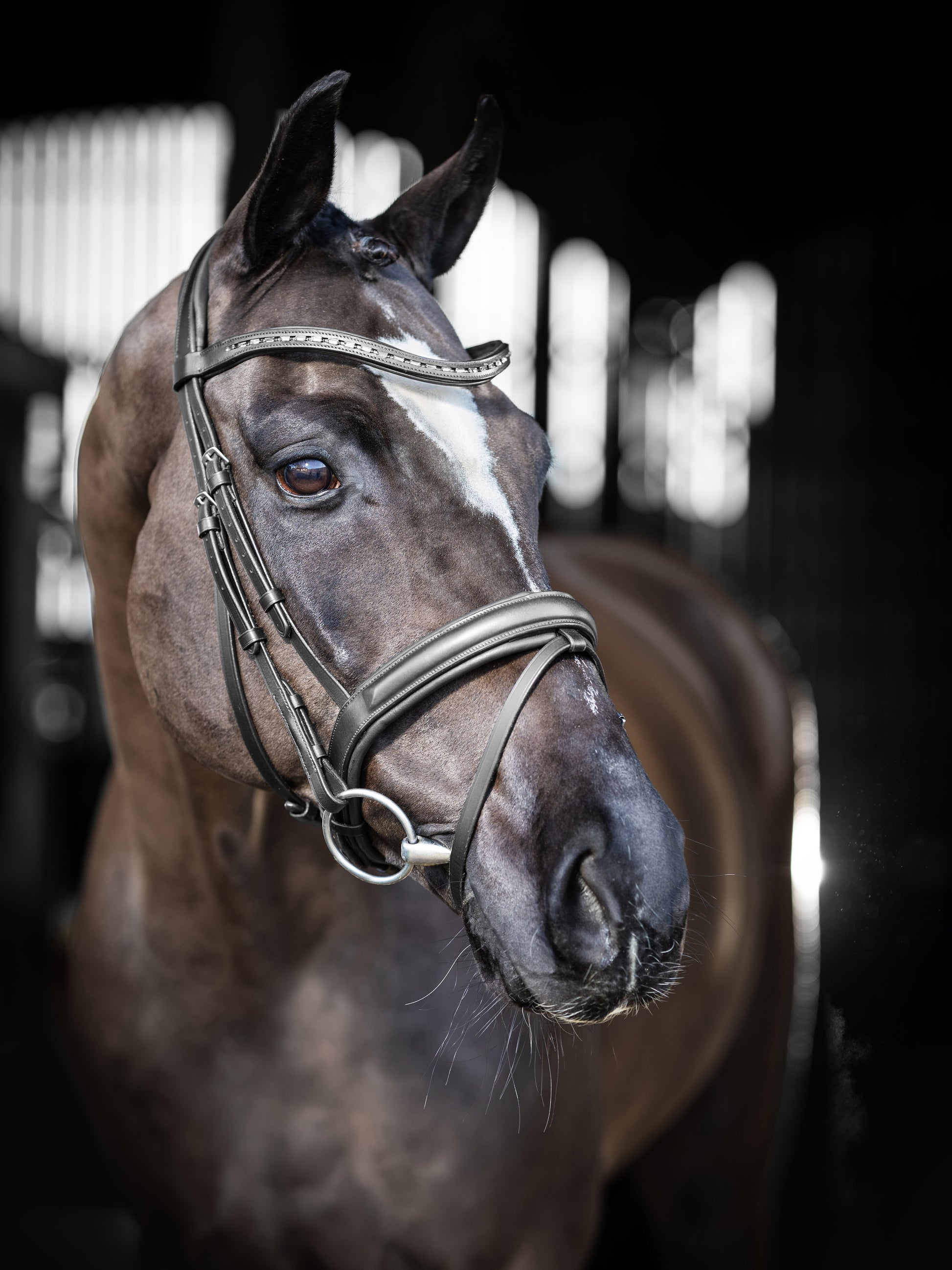 LeMieux Arika Dressage Bridle-Bridle-LeMieux-Black-Pony-Evolution Equestrian Co.