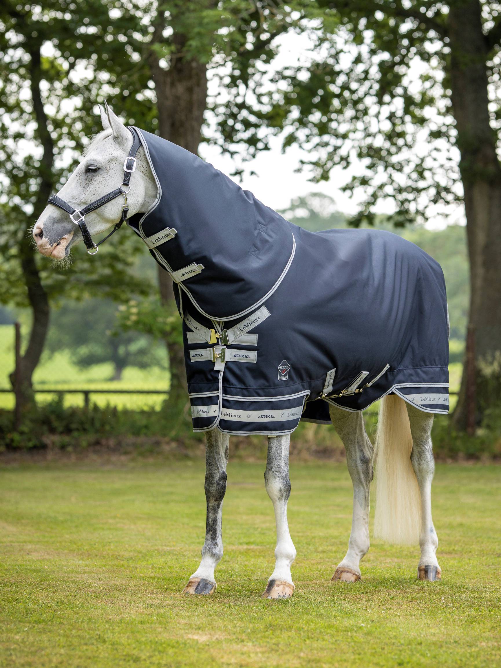 LeMieux Arika Featherweight Rug 0g-Horse Blanket-LeMieux-63" / 5'3"-Evolution Equestrian Co.