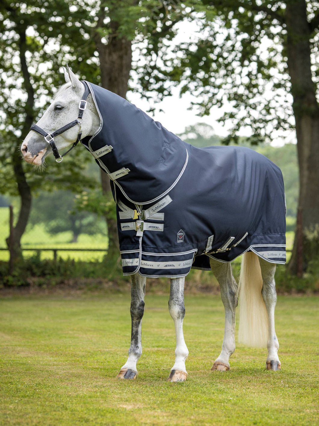 LeMieux Arika Featherweight Rug 0g-Horse Blanket-LeMieux-63
