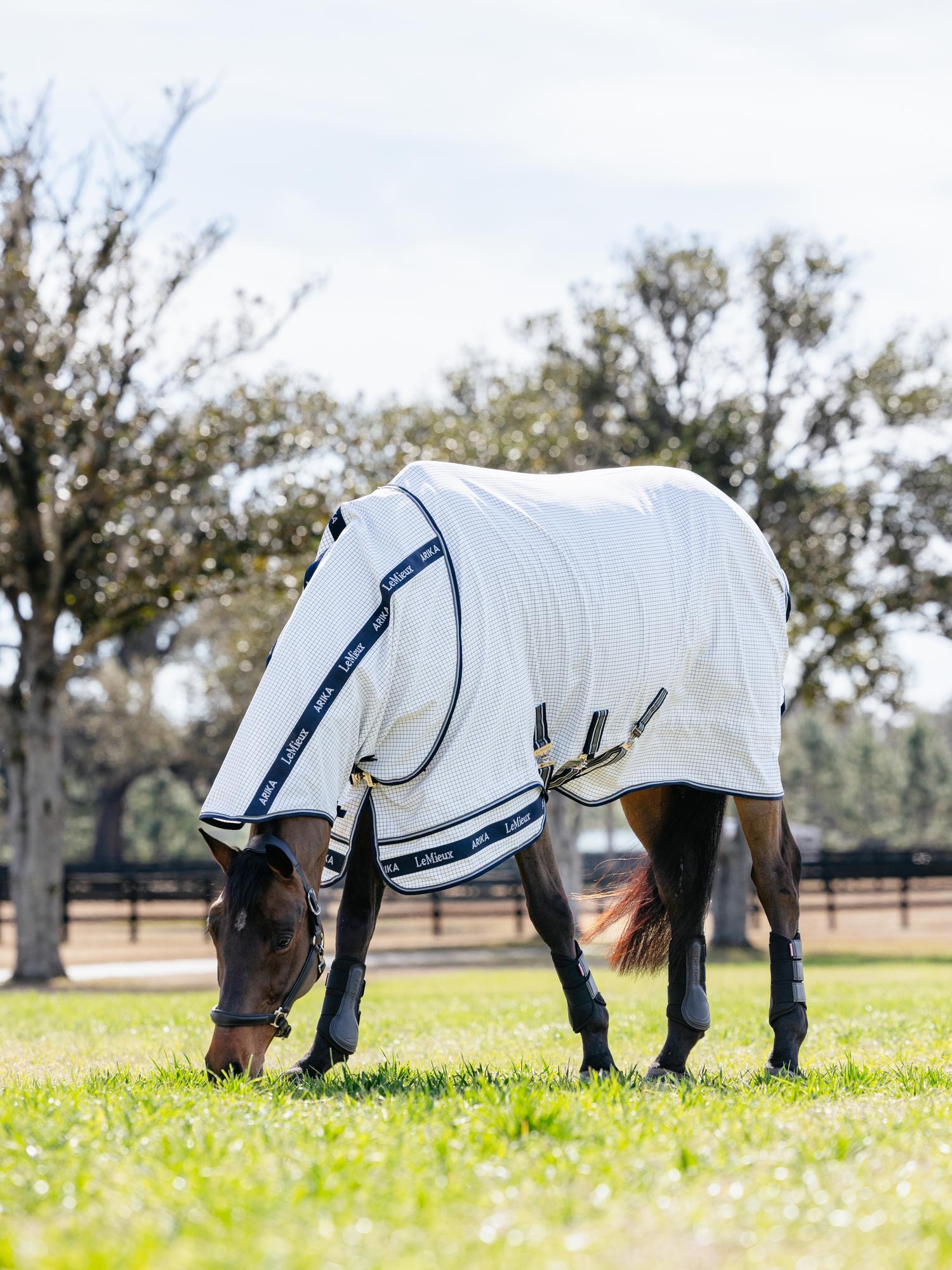 LeMieux Arika Field Sheet-Horse Blankets & Sheets-LeMieux-69" / 5'9"-Evolution Equestrian Co.