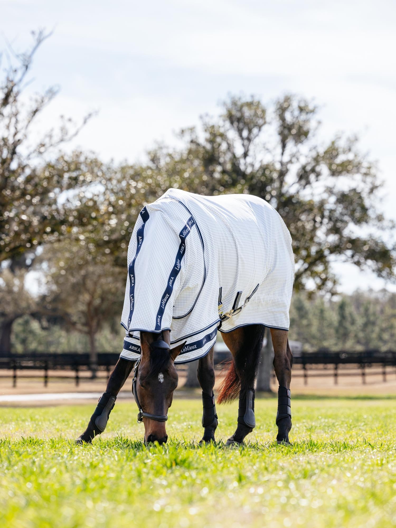 LeMieux Arika Field Sheet-Horse Blankets & Sheets-LeMieux-69" / 5'9"-Evolution Equestrian Co.