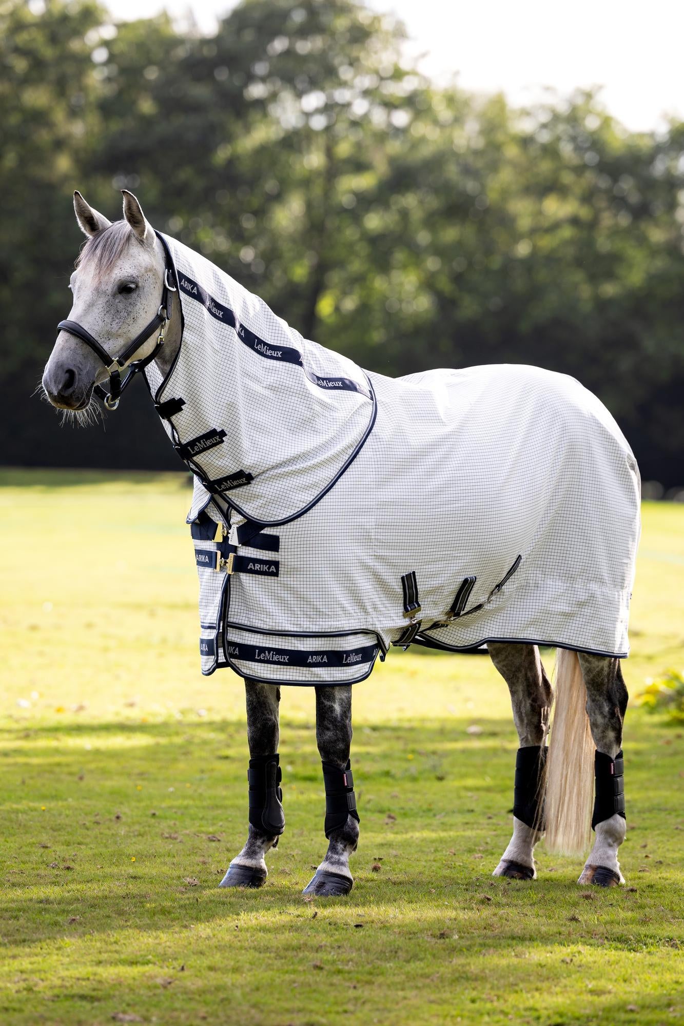 LeMieux Arika Field Sheet-Horse Blankets & Sheets-LeMieux-69" / 5'9"-Evolution Equestrian Co.