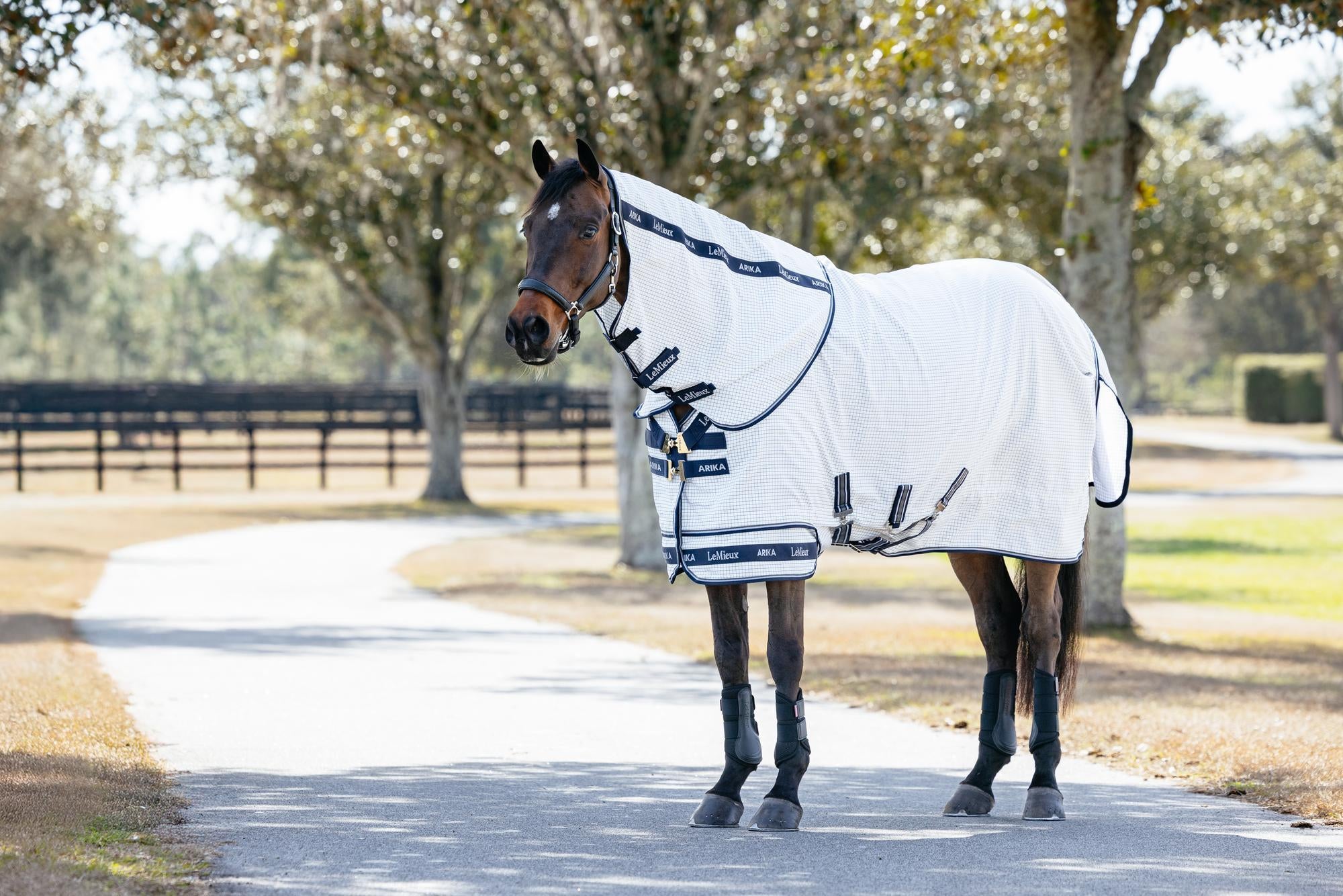 LeMieux Arika Field Sheet-Horse Blankets & Sheets-LeMieux-69" / 5'9"-Evolution Equestrian Co.