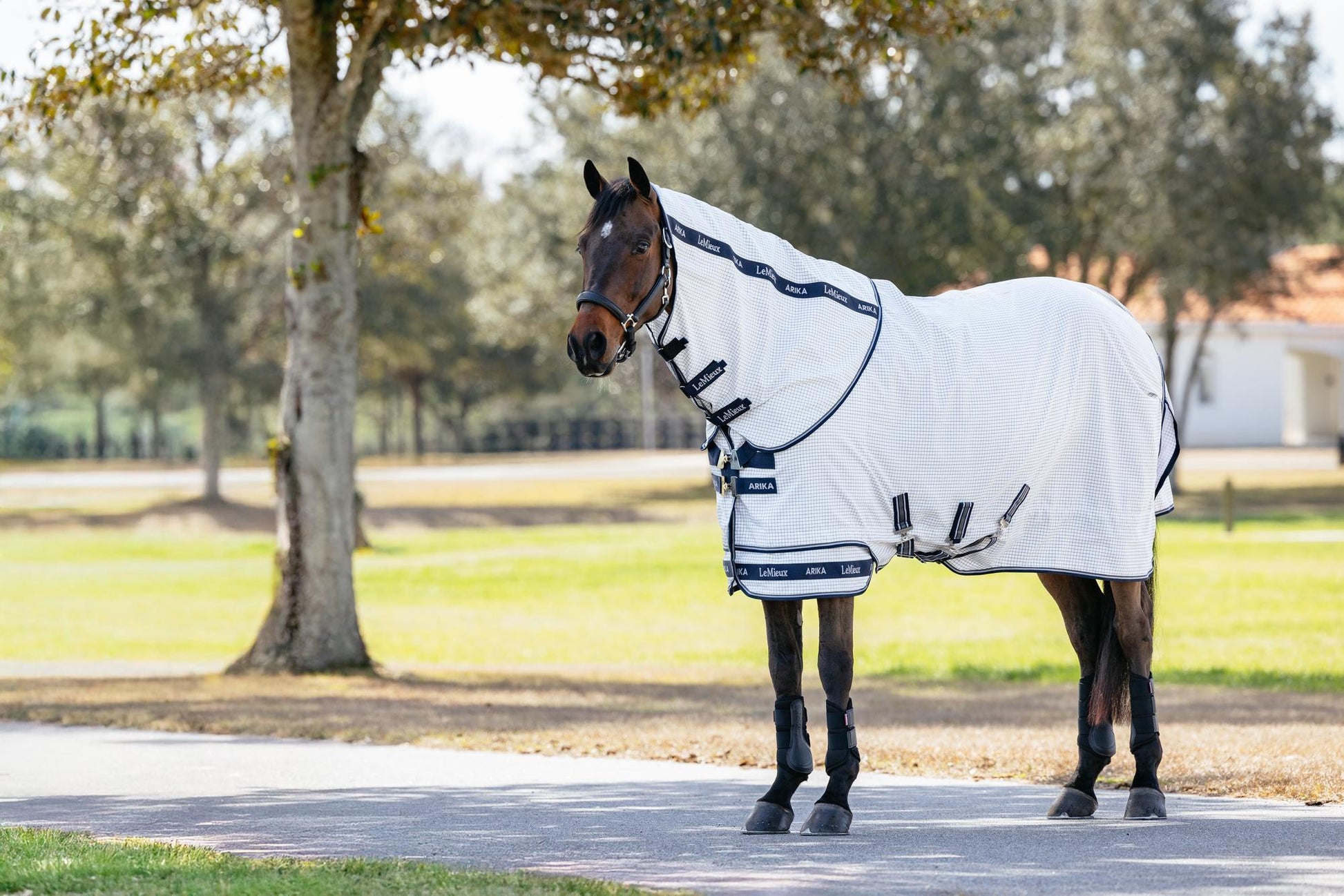 LeMieux Arika Field Sheet-Horse Blankets & Sheets-LeMieux-69" / 5'9"-Evolution Equestrian Co.