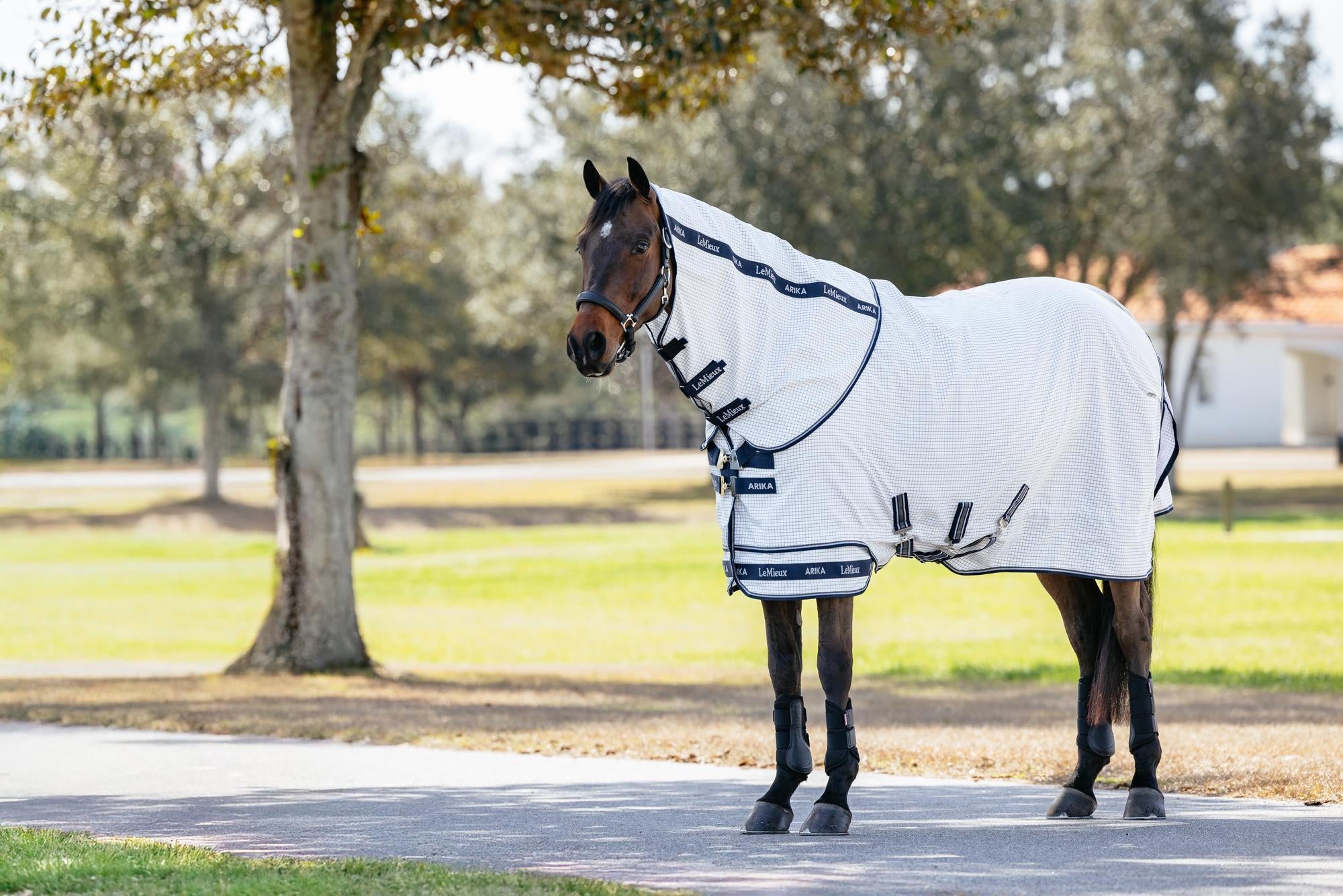 LeMieux Arika Field Sheet-Horse Blankets & Sheets-LeMieux-69" / 5'9"-Evolution Equestrian Co.