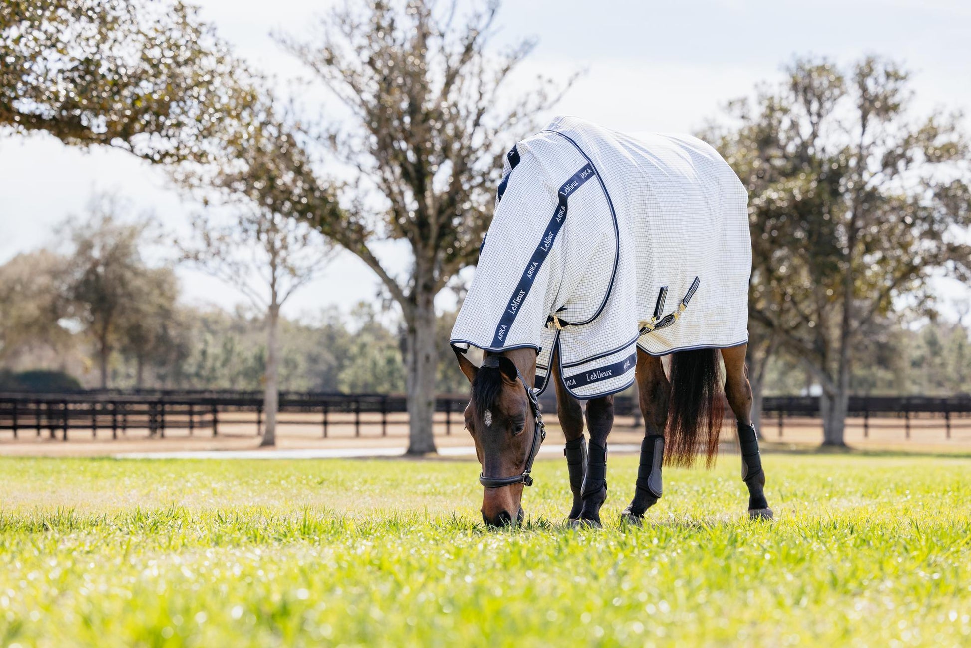 LeMieux Arika Field Sheet-Horse Blankets & Sheets-LeMieux-69" / 5'9"-Evolution Equestrian Co.