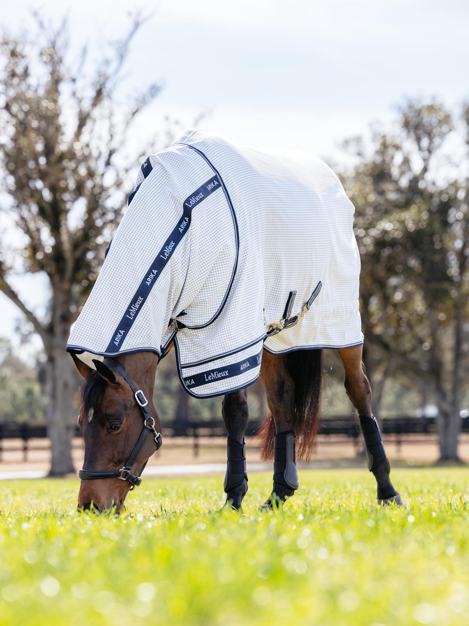 LeMieux Arika Field Sheet-Horse Blankets & Sheets-LeMieux-69" / 5'9"-Evolution Equestrian Co.