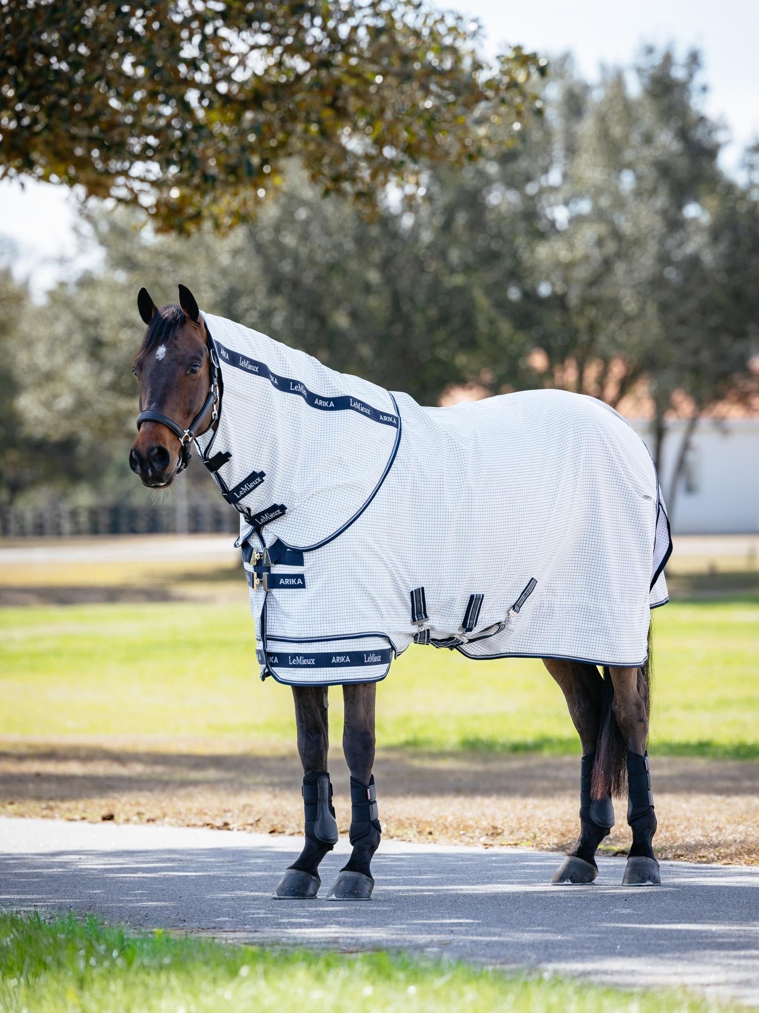 LeMieux Arika Field Sheet-Horse Blankets & Sheets-LeMieux-69" / 5'9"-Evolution Equestrian Co.