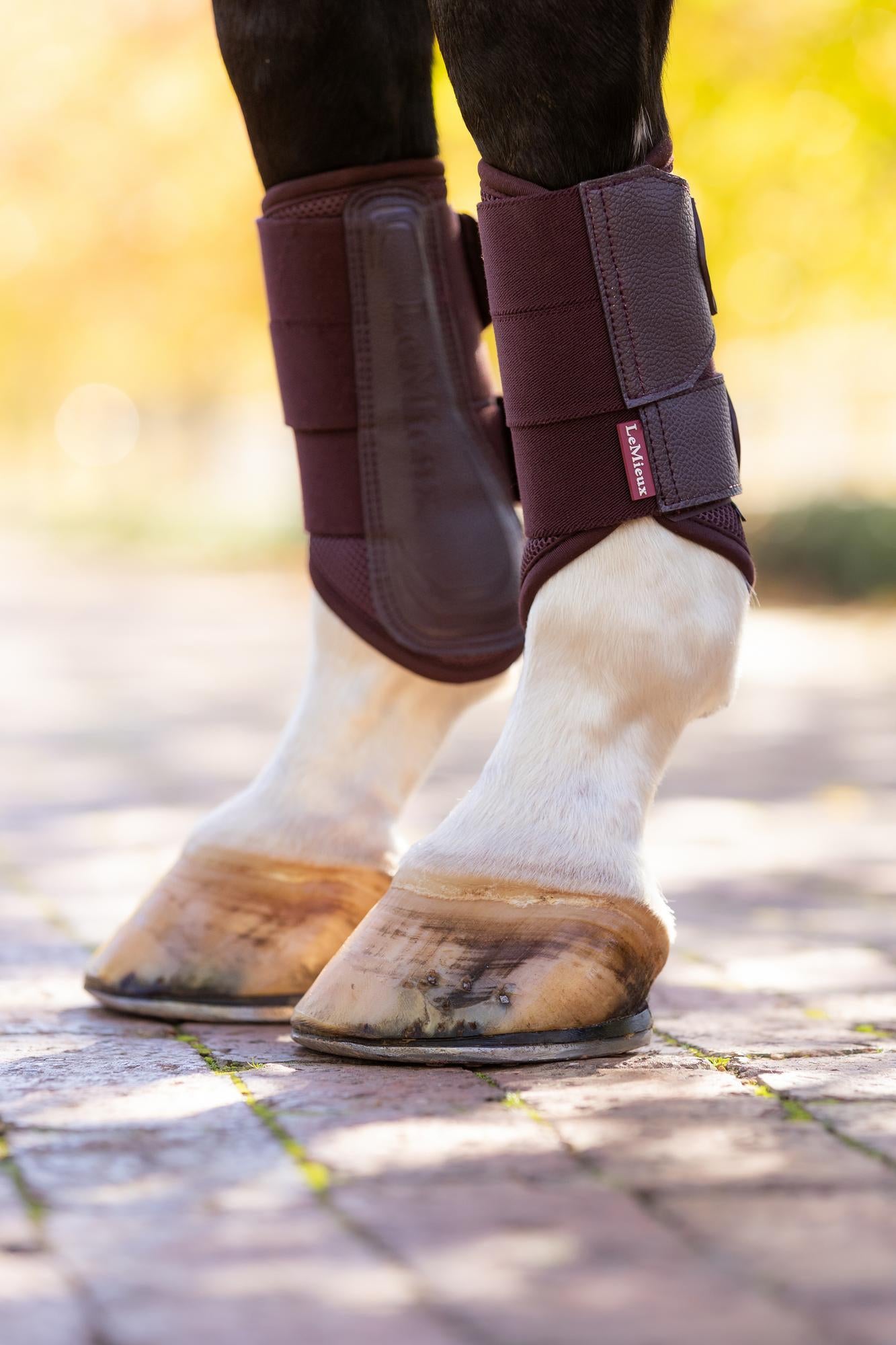 LeMieux Arika Mesh Brushing Boots-Horse Boots-LeMieux-Medium-Evolution Equestrian Co.