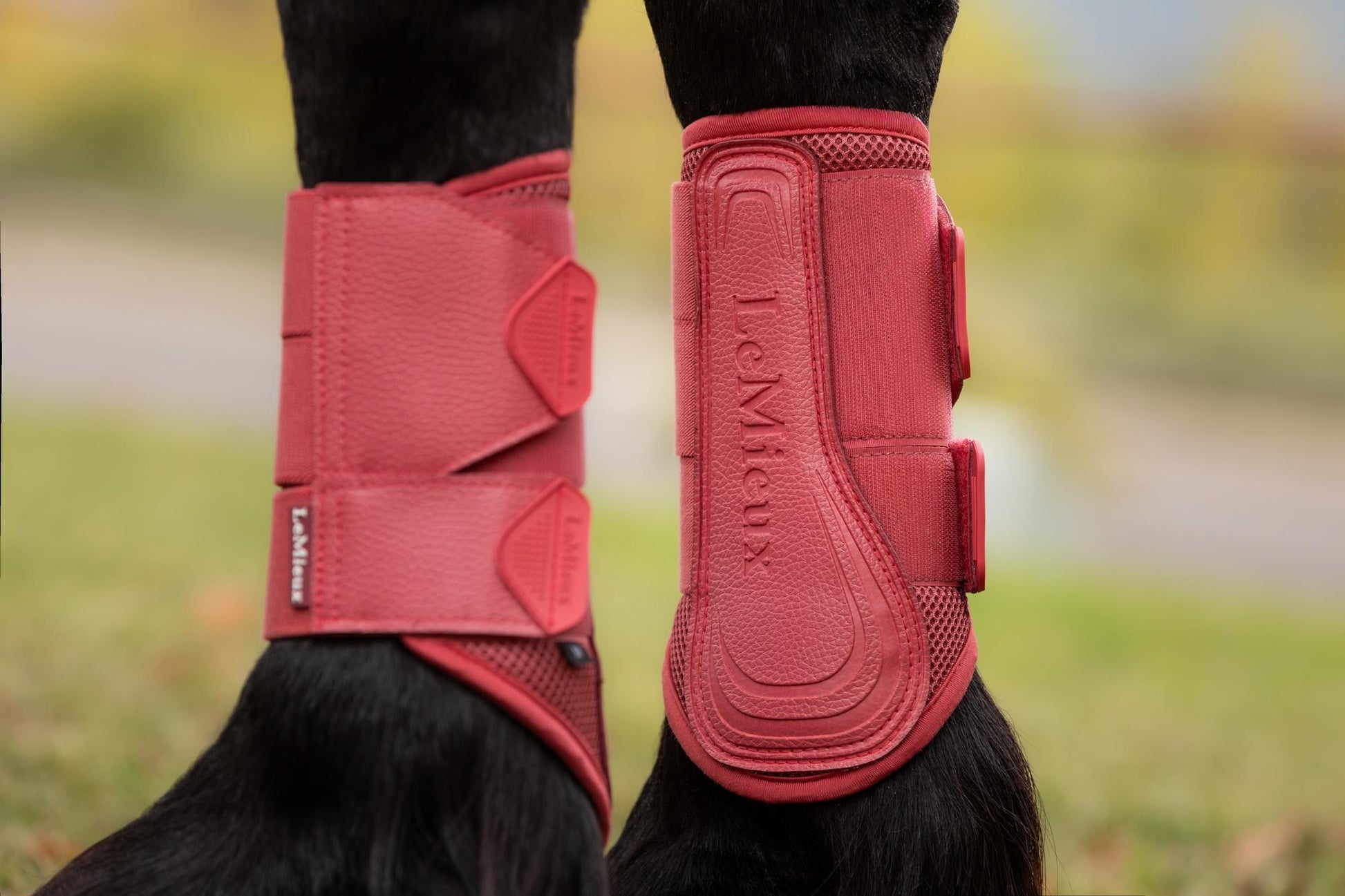 LeMieux Arika Mesh Brushing Boots Cranberry-Horse Boots-LeMieux-Medium-Evolution Equestrian Co.