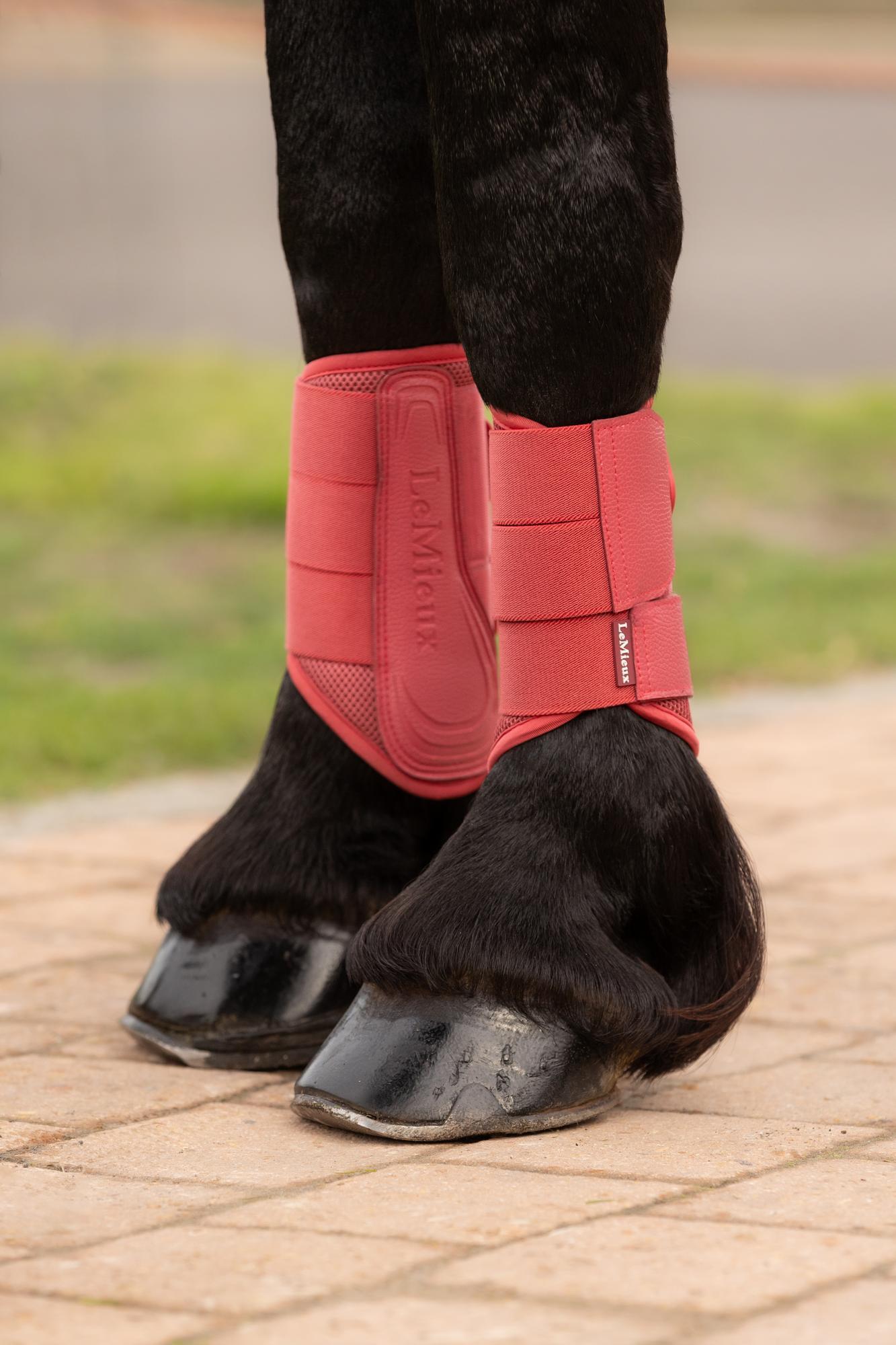 LeMieux Arika Mesh Brushing Boots Cranberry-Horse Boots-LeMieux-Medium-Evolution Equestrian Co.