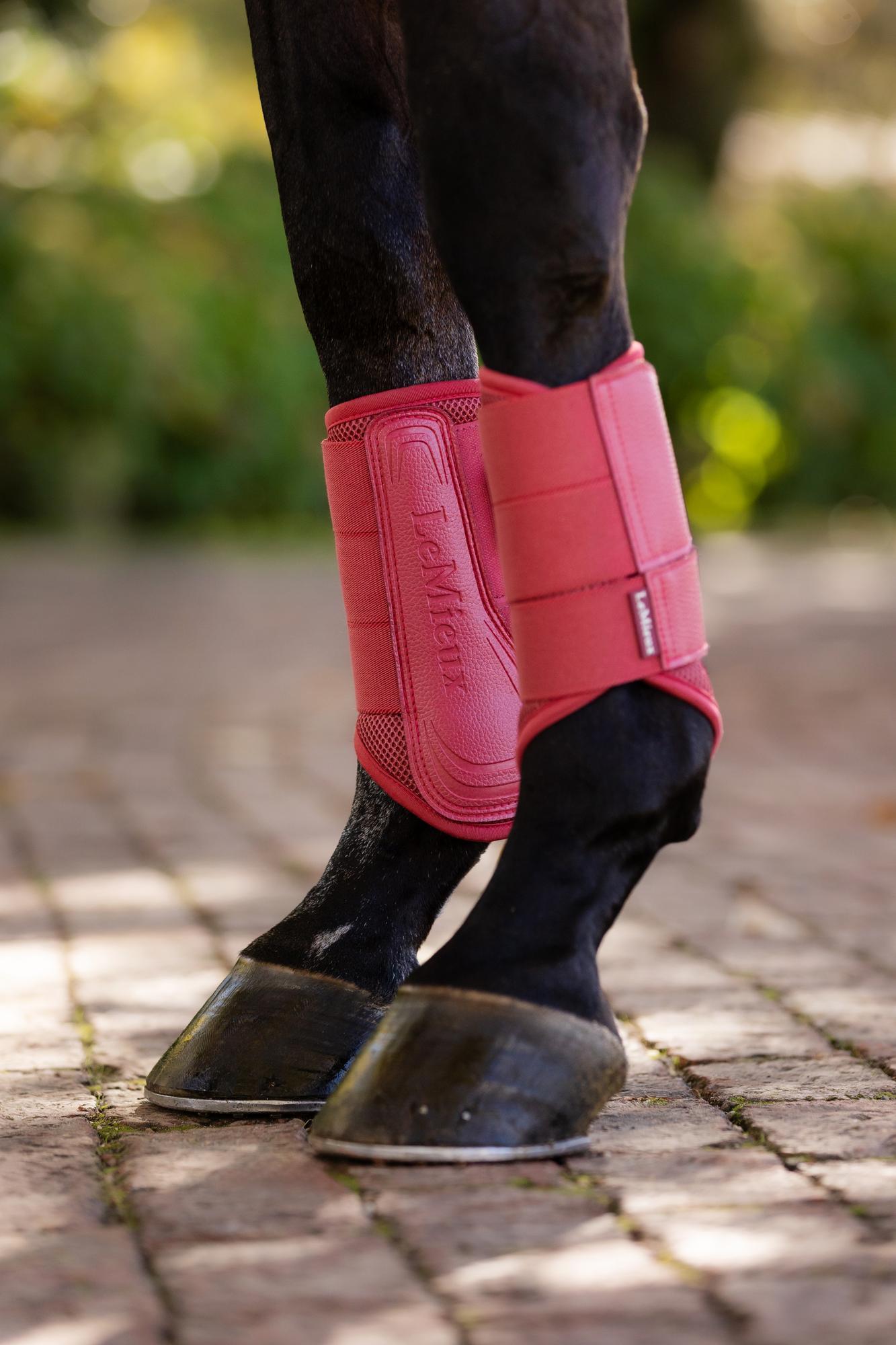 LeMieux Arika Mesh Brushing Boots Cranberry-Horse Boots-LeMieux-Medium-Evolution Equestrian Co.