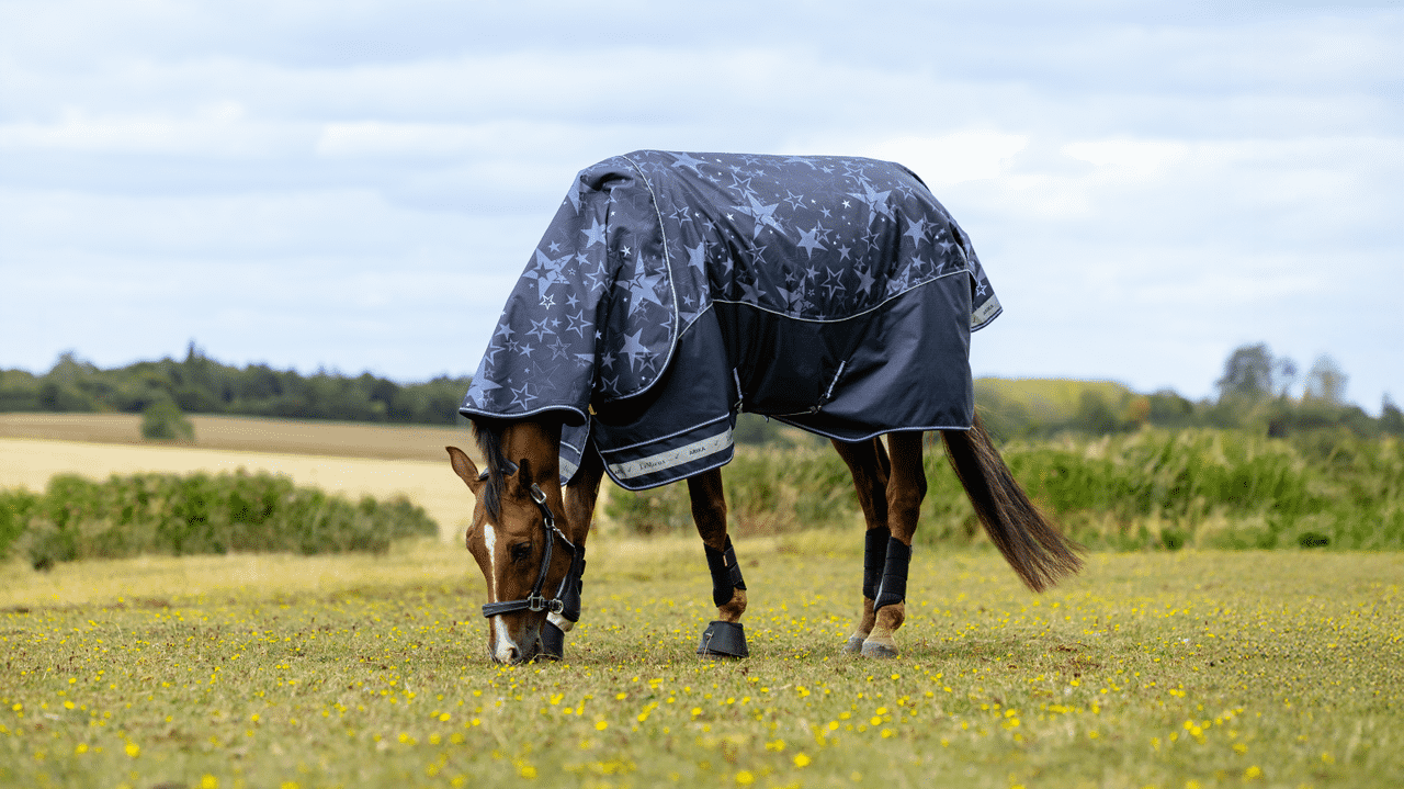 LeMieux Arika Star Turnout Pony Blanket 100g-Horse Blanket-LeMieux-45" / 3'9"-Evolution Equestrian Co.