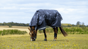 LeMieux Arika Star Turnout Pony Blanket 100g-Horse Blanket-LeMieux-45" / 3'9"-Evolution Equestrian Co.