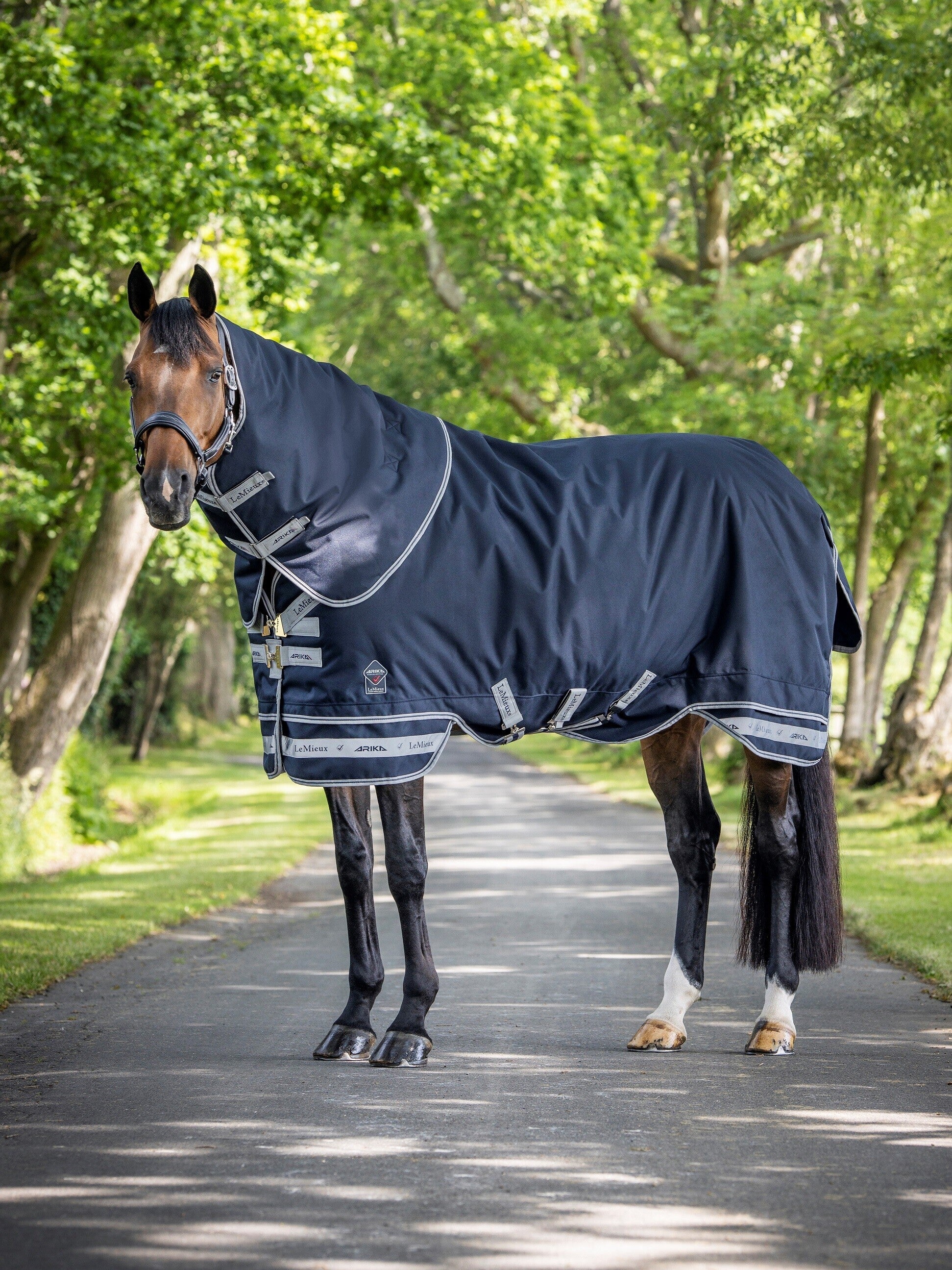 LeMieux Arika Storm-Tek Rug 100g-Horse Blanket-LeMieux-72" | 6'0"-Evolution Equestrian Co.